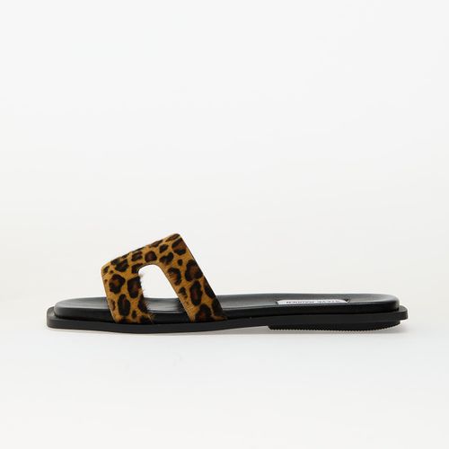 Sneakers Sofia-L EUR 40 - Steve Madden - Modalova