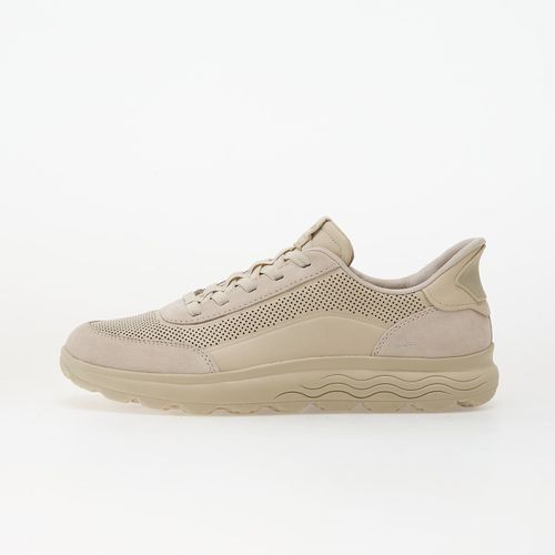 Sneakers Spherica Plus Fast In EUR 41 - Geox - Modalova