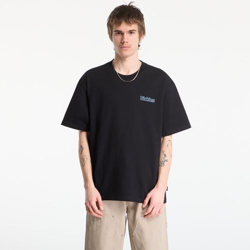 Maglietta Fairlawn Ss Tee S - Dickies - Modalova