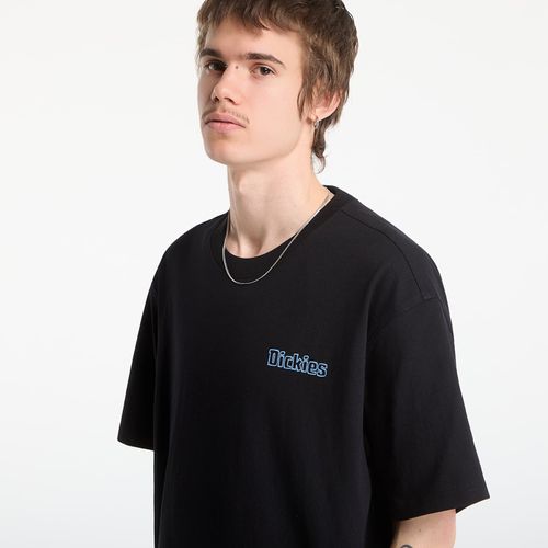 Maglietta Fairlawn Ss Tee S - Dickies - Modalova