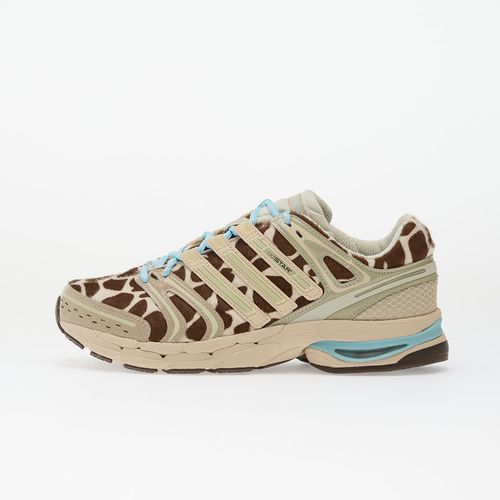 Sneakers adidas Adistar Control 5 W / / EUR 38 2/3 - adidas Originals - Modalova