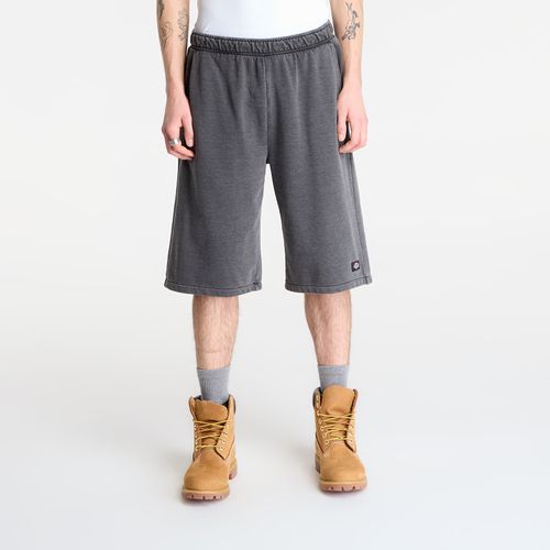 Pantaloncini Streetsboro 13 Inch Sweat M - Dickies - Modalova