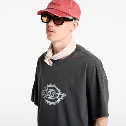 Maglietta Plainville Short Sleeve Tee S - Dickies - Modalova