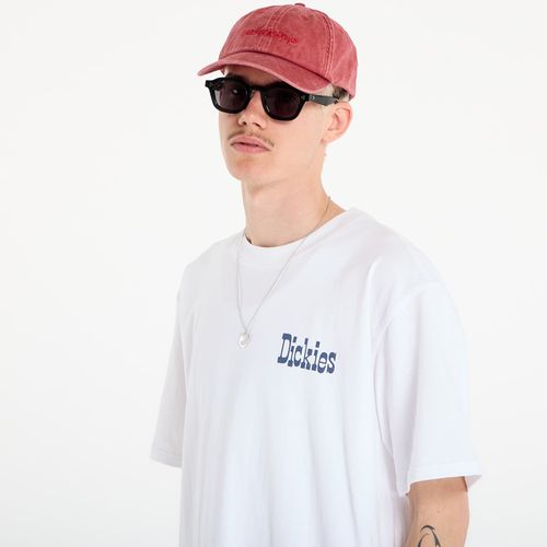 Maglietta Vernal Short Sleeve Tee XL - Dickies - Modalova