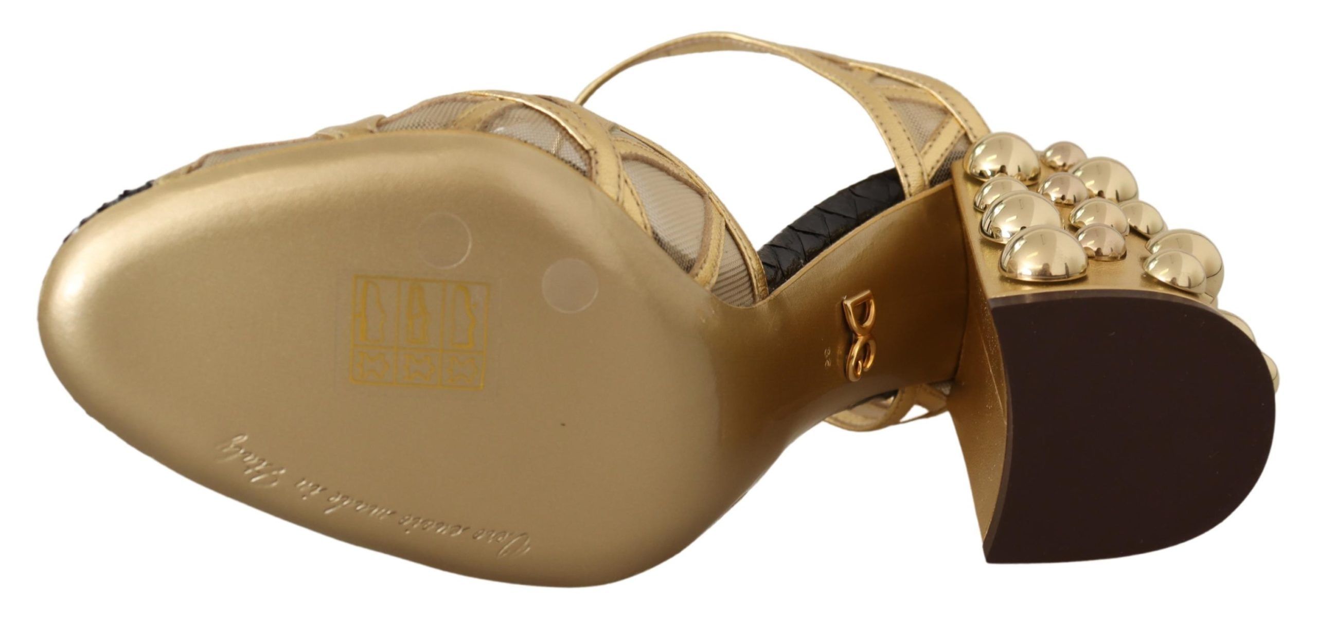 Gold Leather Studded Ankle Straps Women's Shoes - Dolce & Gabbana - Modalova