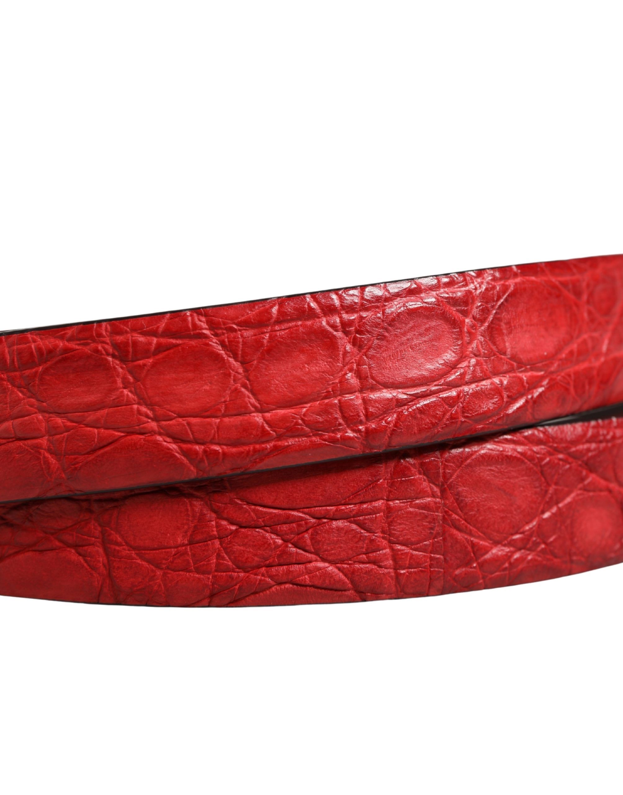 Men Exotic Leather Metal Buckle Men's Belt (Pre-Owned) - Dolce & Gabbana - Modalova