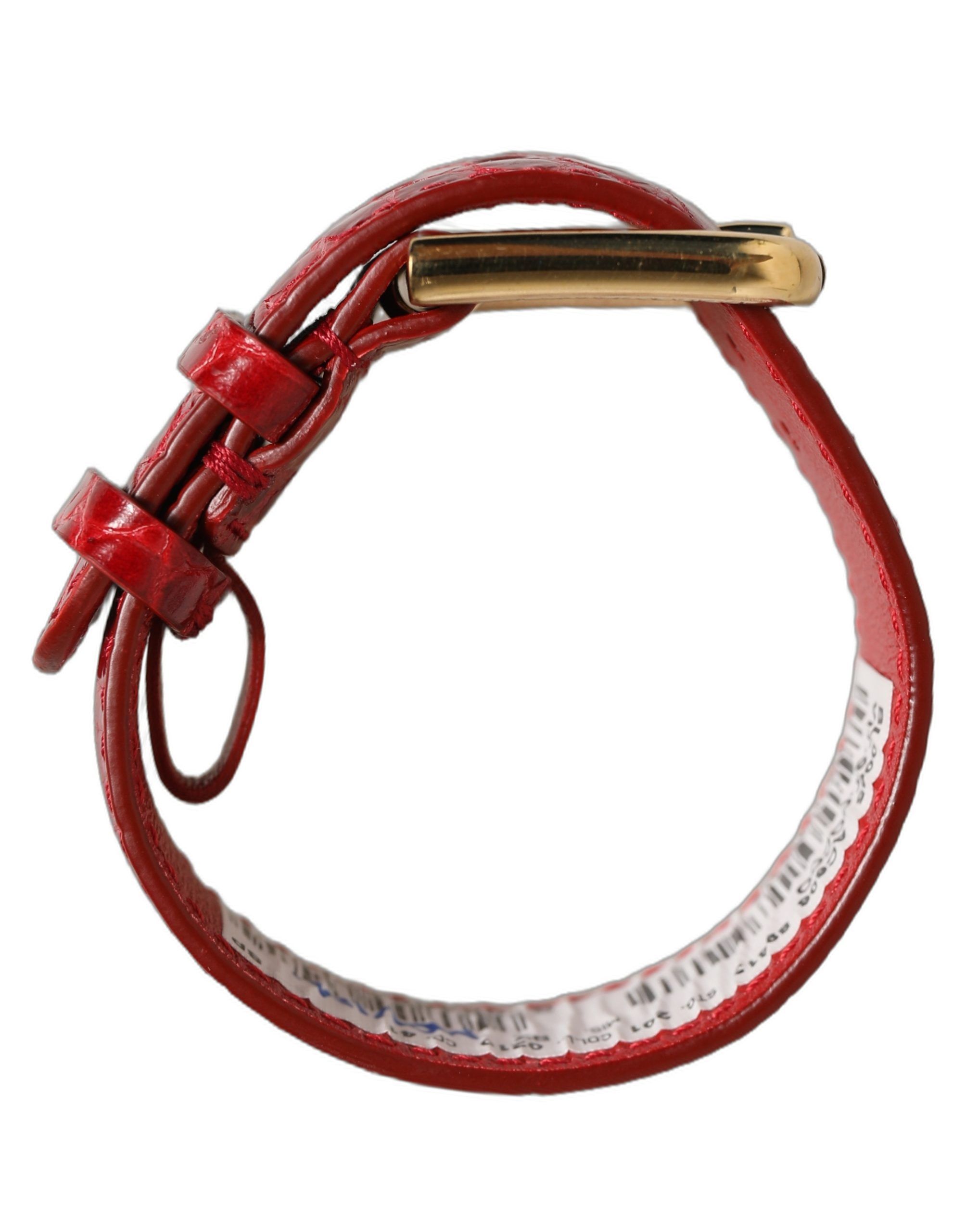 Embossed Leather Gold Buckle Belt Strap Women's Bracelet (Pre-Owned) - Dolce & Gabbana - Modalova