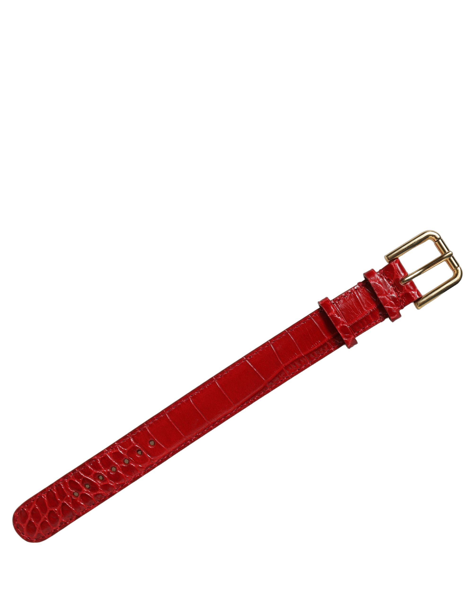 Embossed Leather Gold Buckle Belt Strap Women's Bracelet (Pre-Owned) - Dolce & Gabbana - Modalova