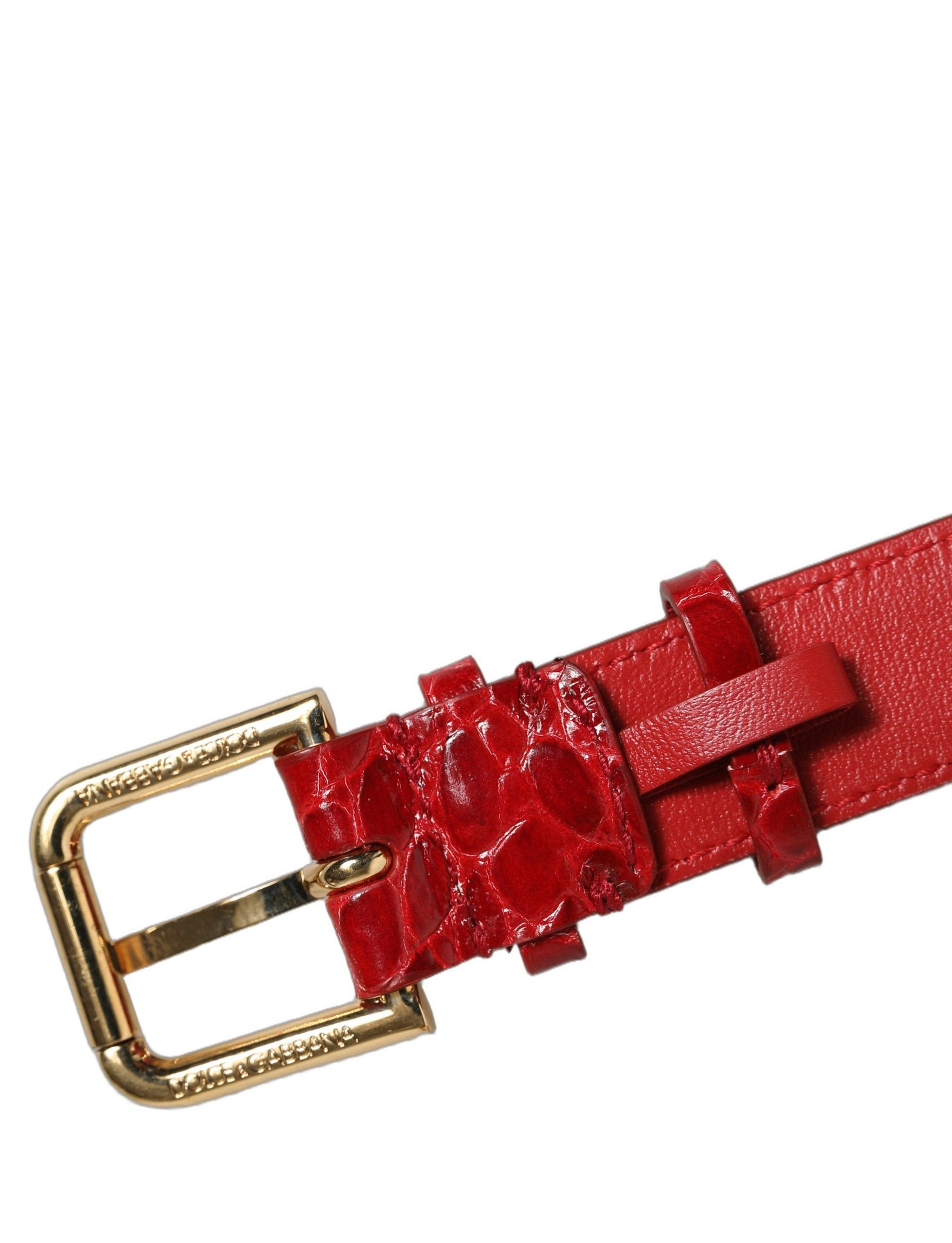 Embossed Leather Gold Buckle Belt Strap Women's Bracelet (Pre-Owned) - Dolce & Gabbana - Modalova