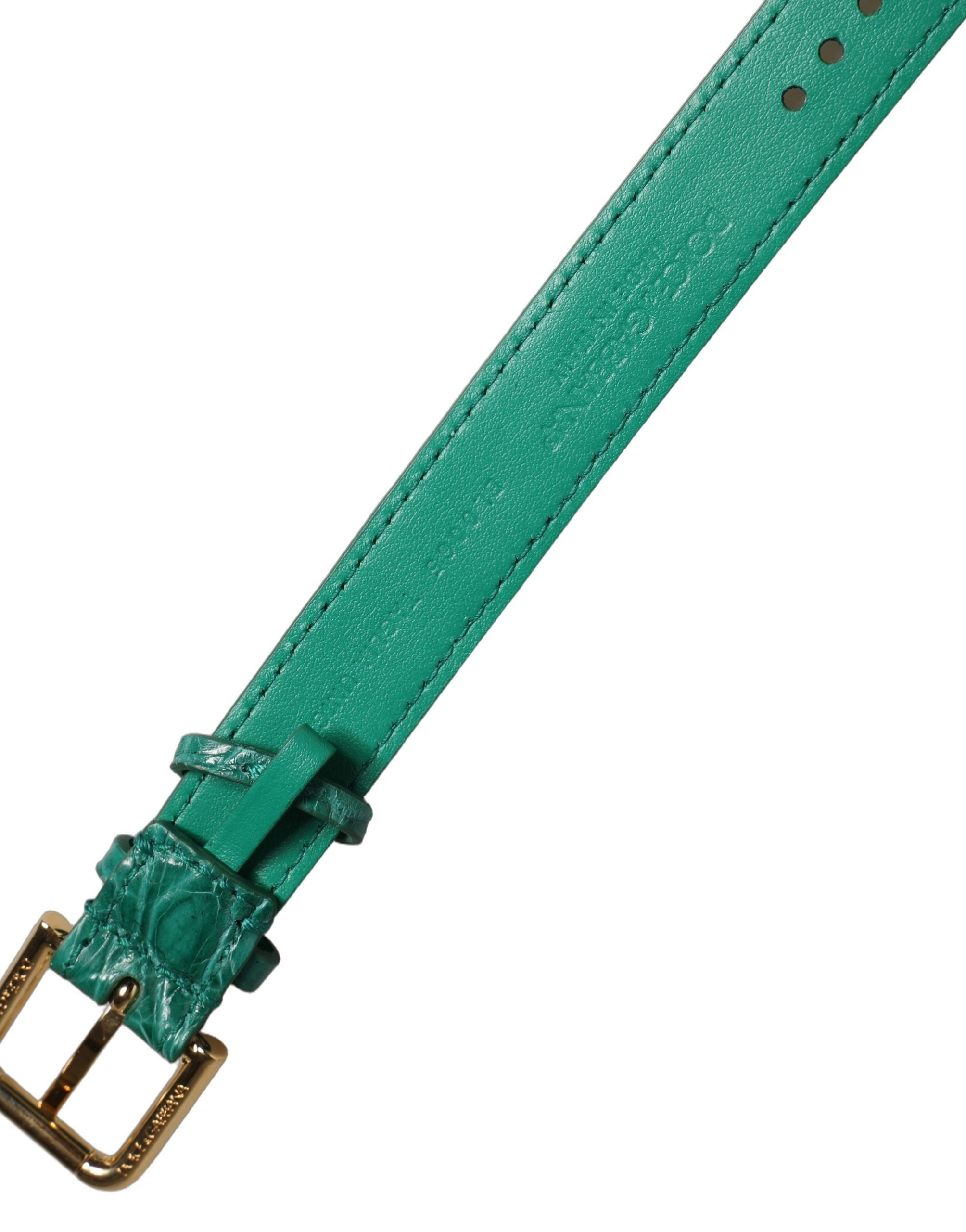 Green Embossed Leather Gold Buckle Belt Strap Women's Bracelet - Dolce & Gabbana - Modalova
