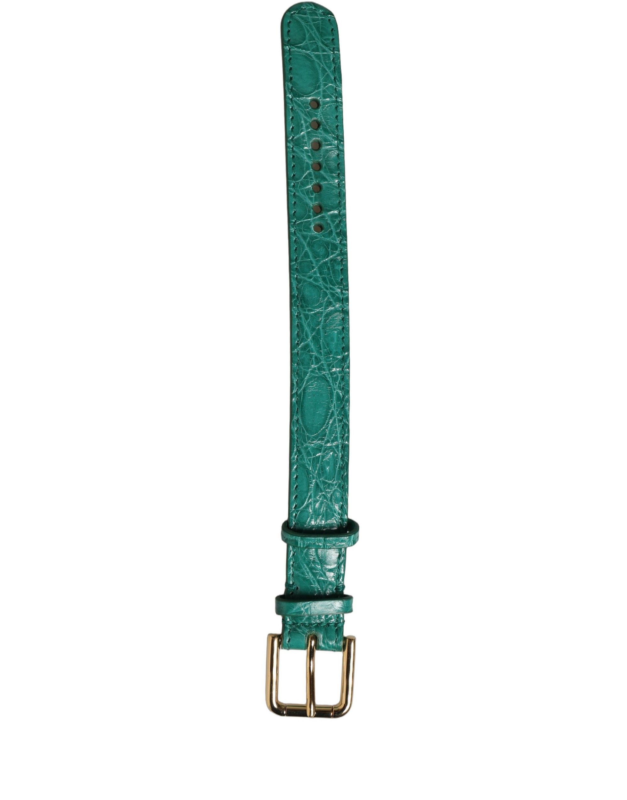 Green Embossed Leather Gold Buckle Belt Strap Women's Bracelet - Dolce & Gabbana - Modalova