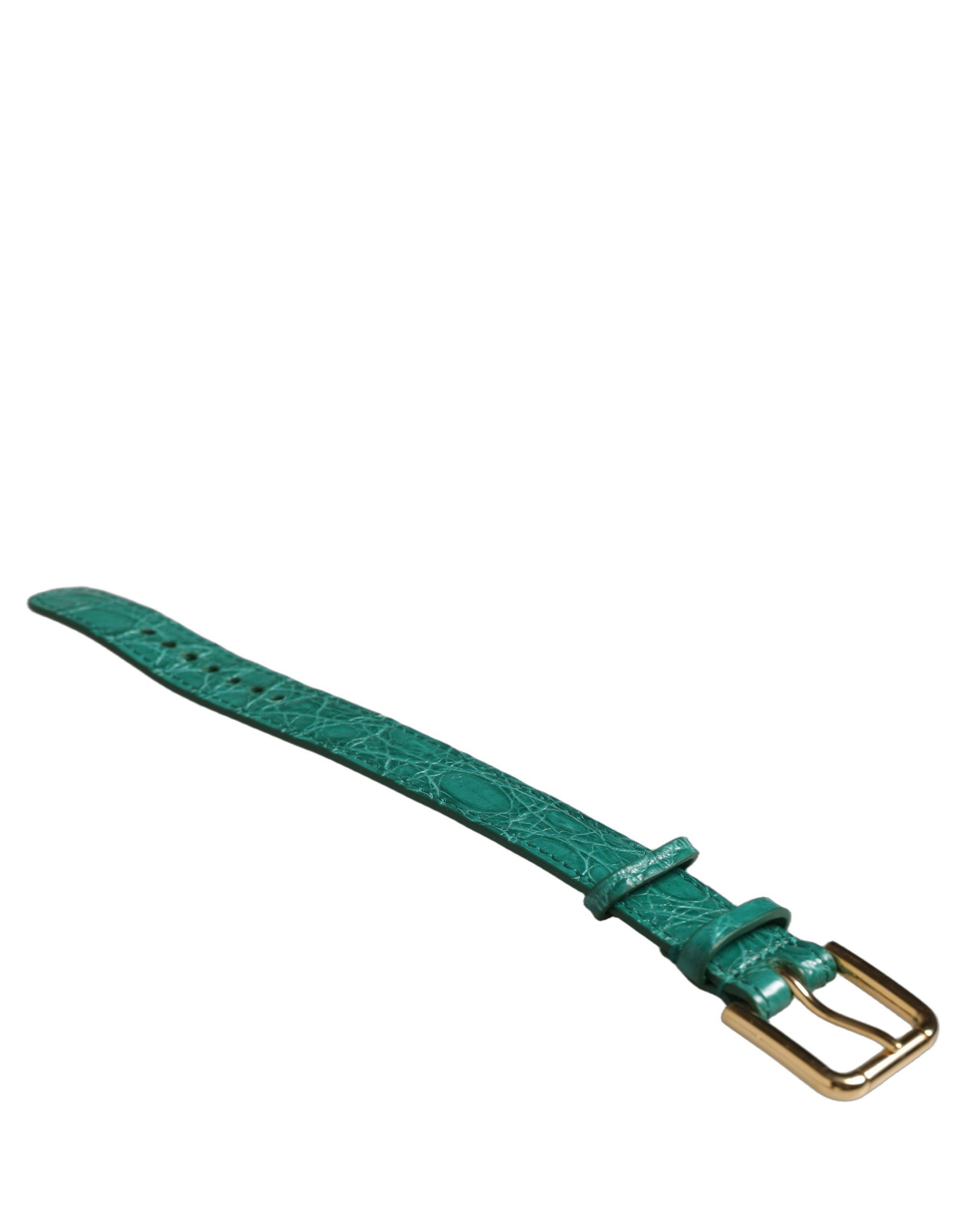 Green Embossed Leather Gold Buckle Belt Strap Women's Bracelet - Dolce & Gabbana - Modalova