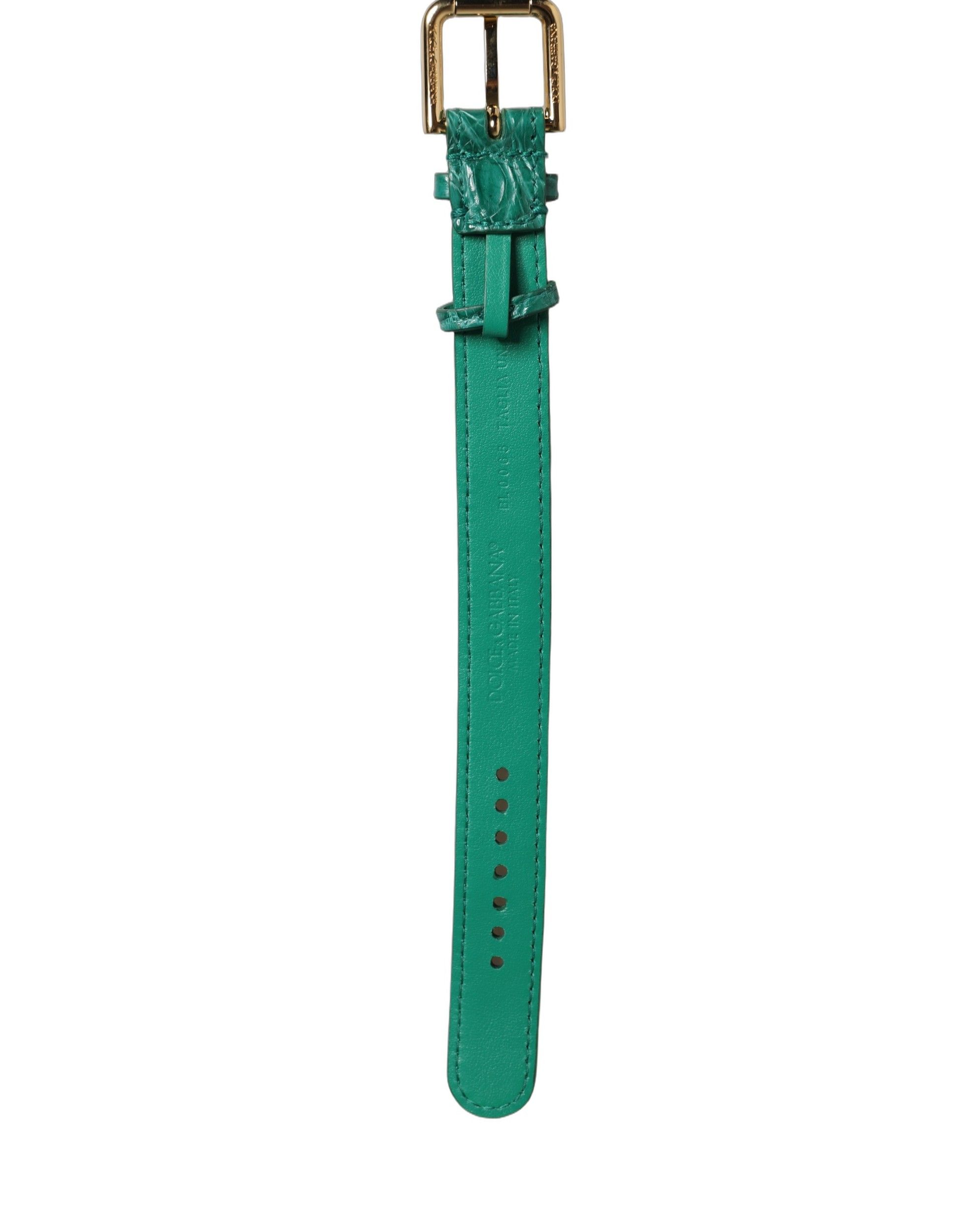 Green Embossed Leather Gold Buckle Belt Strap Women's Bracelet - Dolce & Gabbana - Modalova
