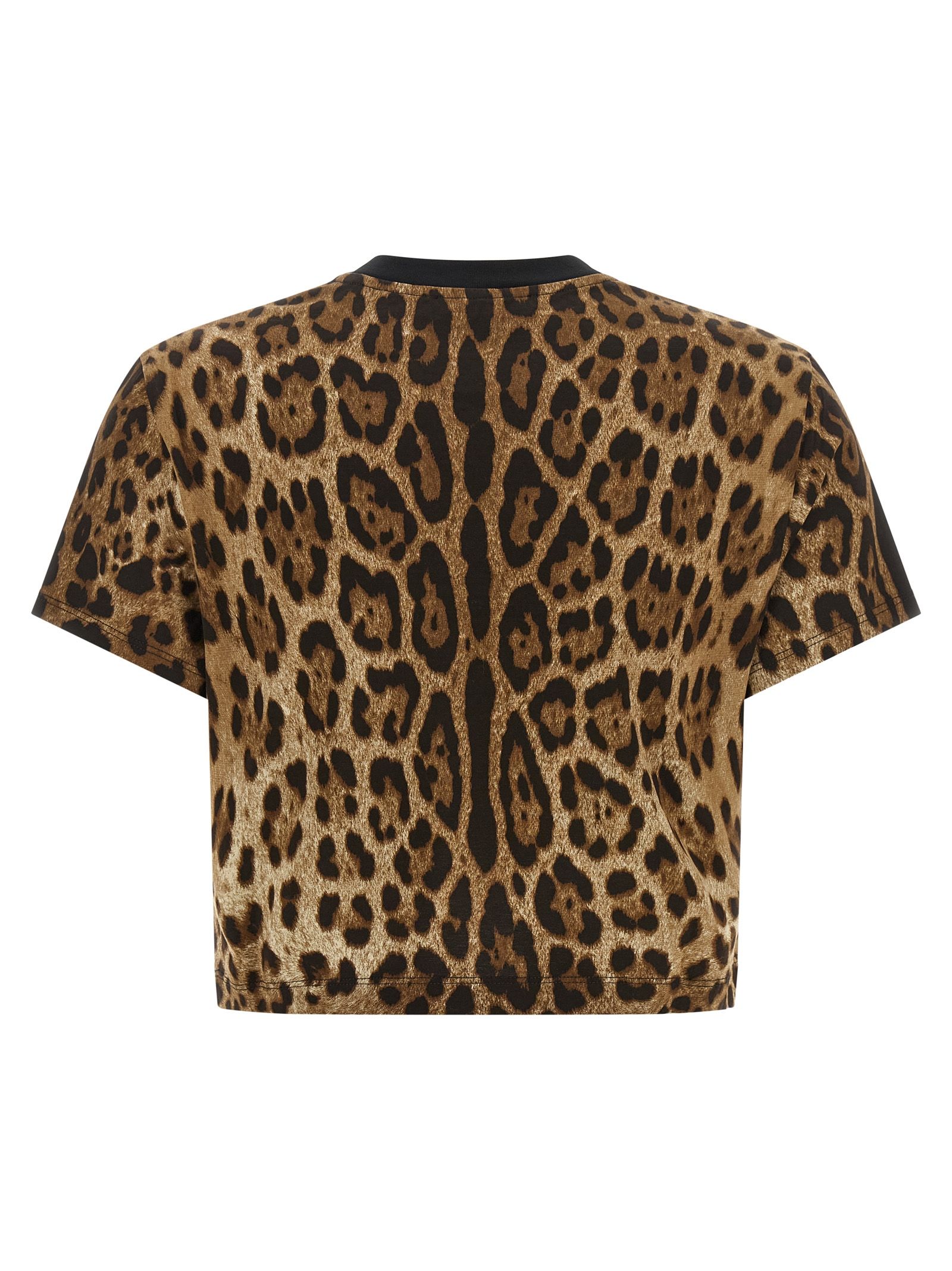 Cotton Women's T-Shirt - Dolce & Gabbana - Modalova