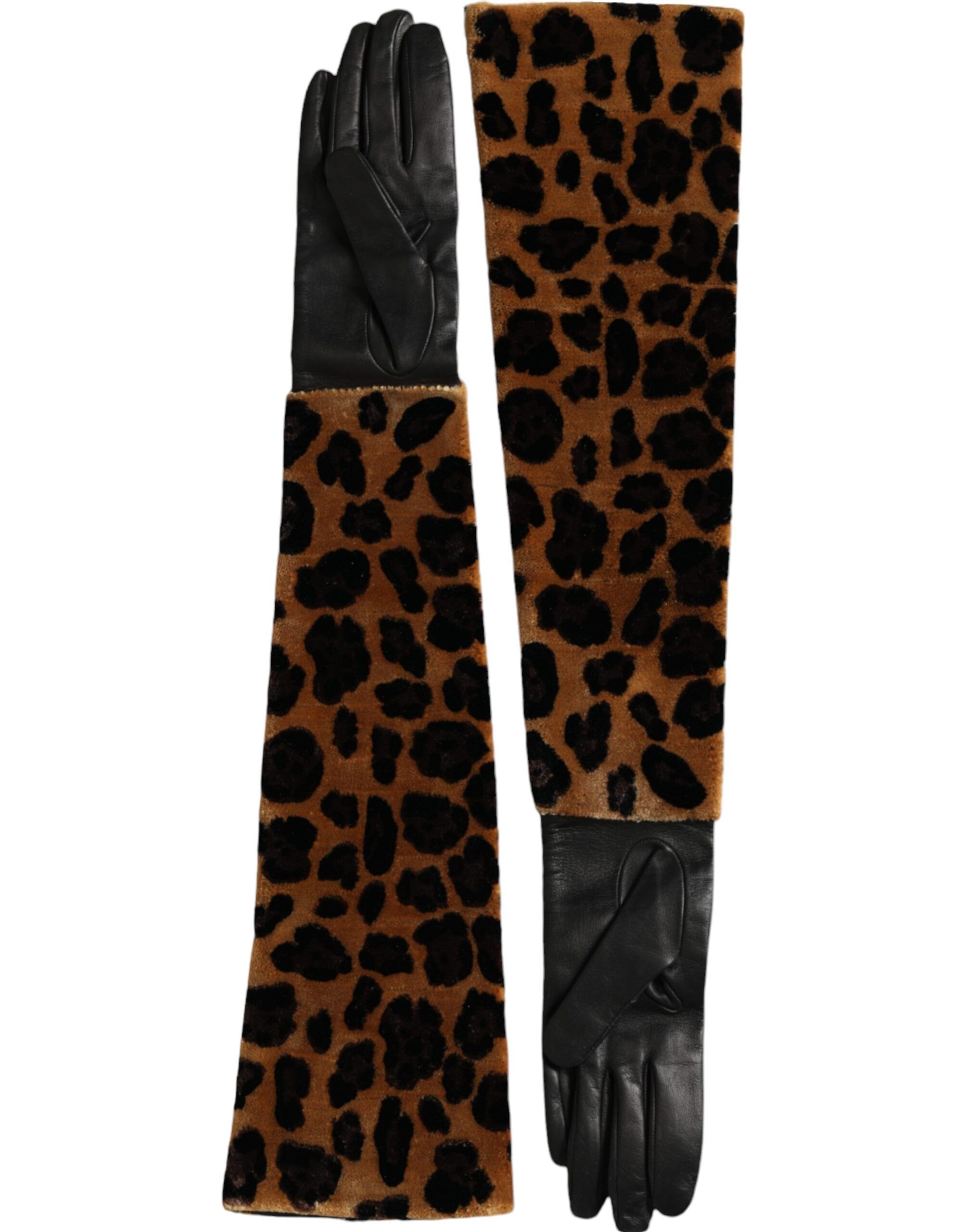 Brown Black Leopard Leather Elbow Length Women's Gloves - Dolce & Gabbana - Modalova
