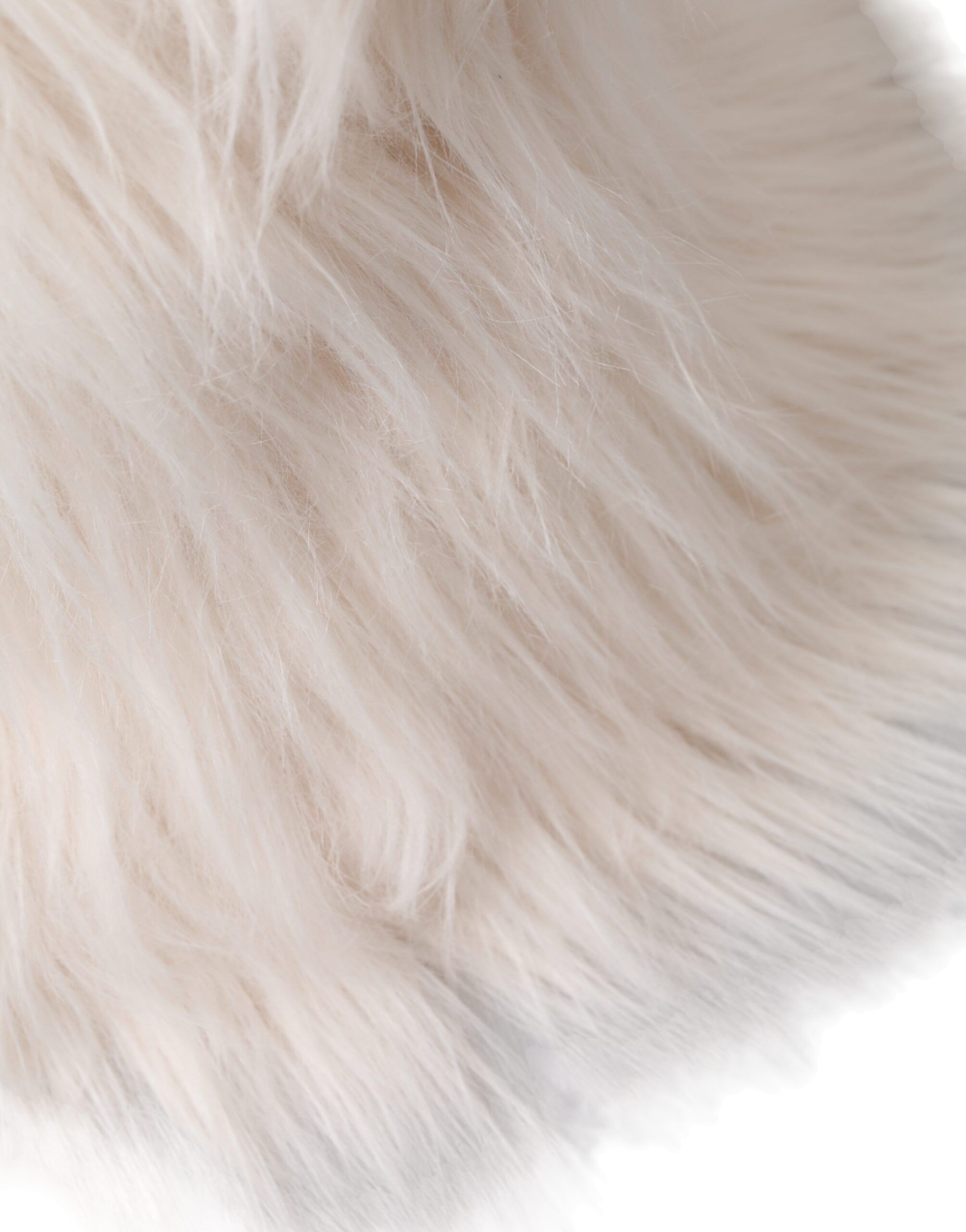 Acrylic Fur Womens Bucket Hat - Dolce & Gabbana - Modalova