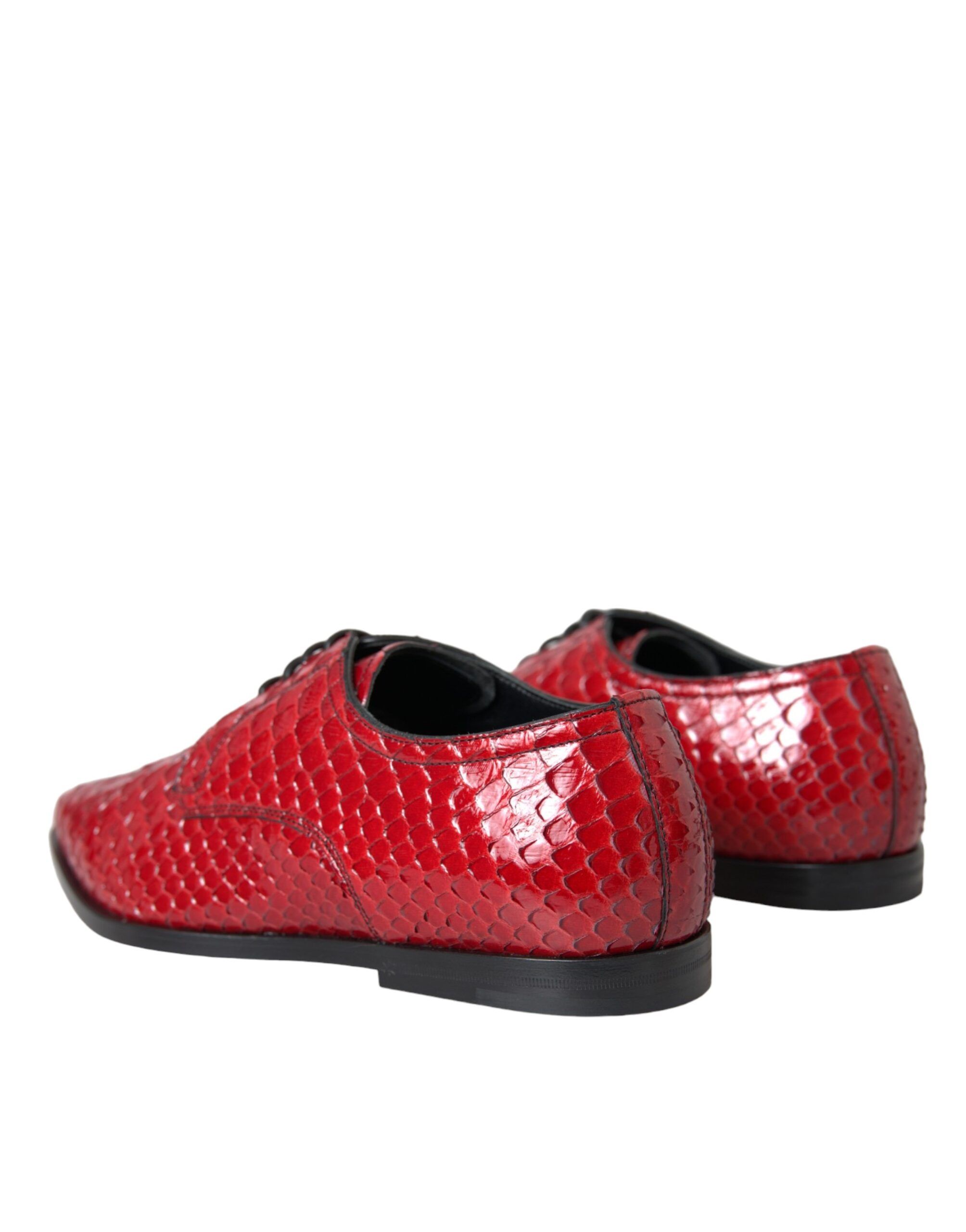 Textured Varnished Derby Men Formal Men's Shoes - Dolce & Gabbana - Modalova