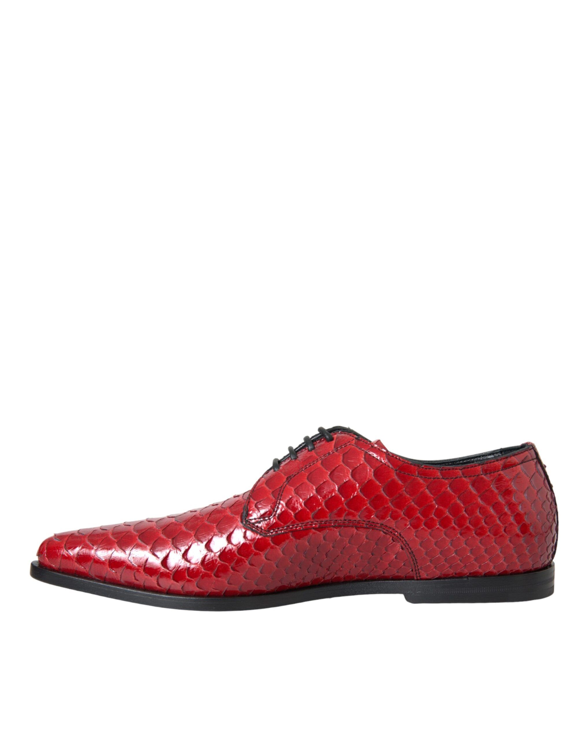 Textured Varnished Derby Men Formal Men's Shoes - Dolce & Gabbana - Modalova