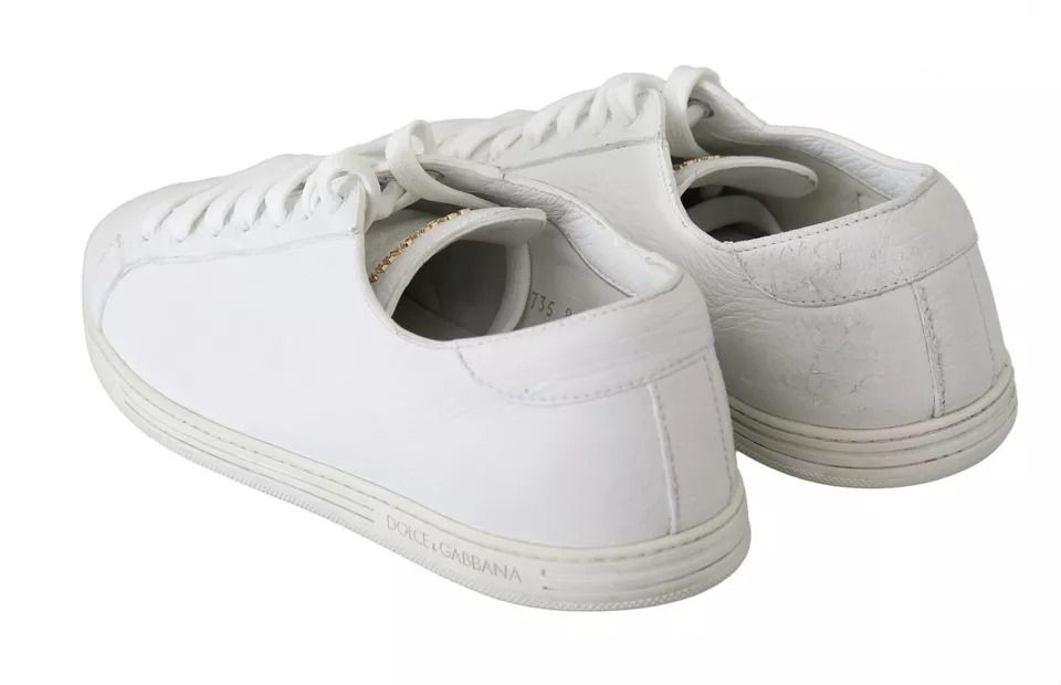 Saint Tropez Lace Up Men Sneakers Men Men's Shoes (Pre-Owned) - Dolce & Gabbana - Modalova