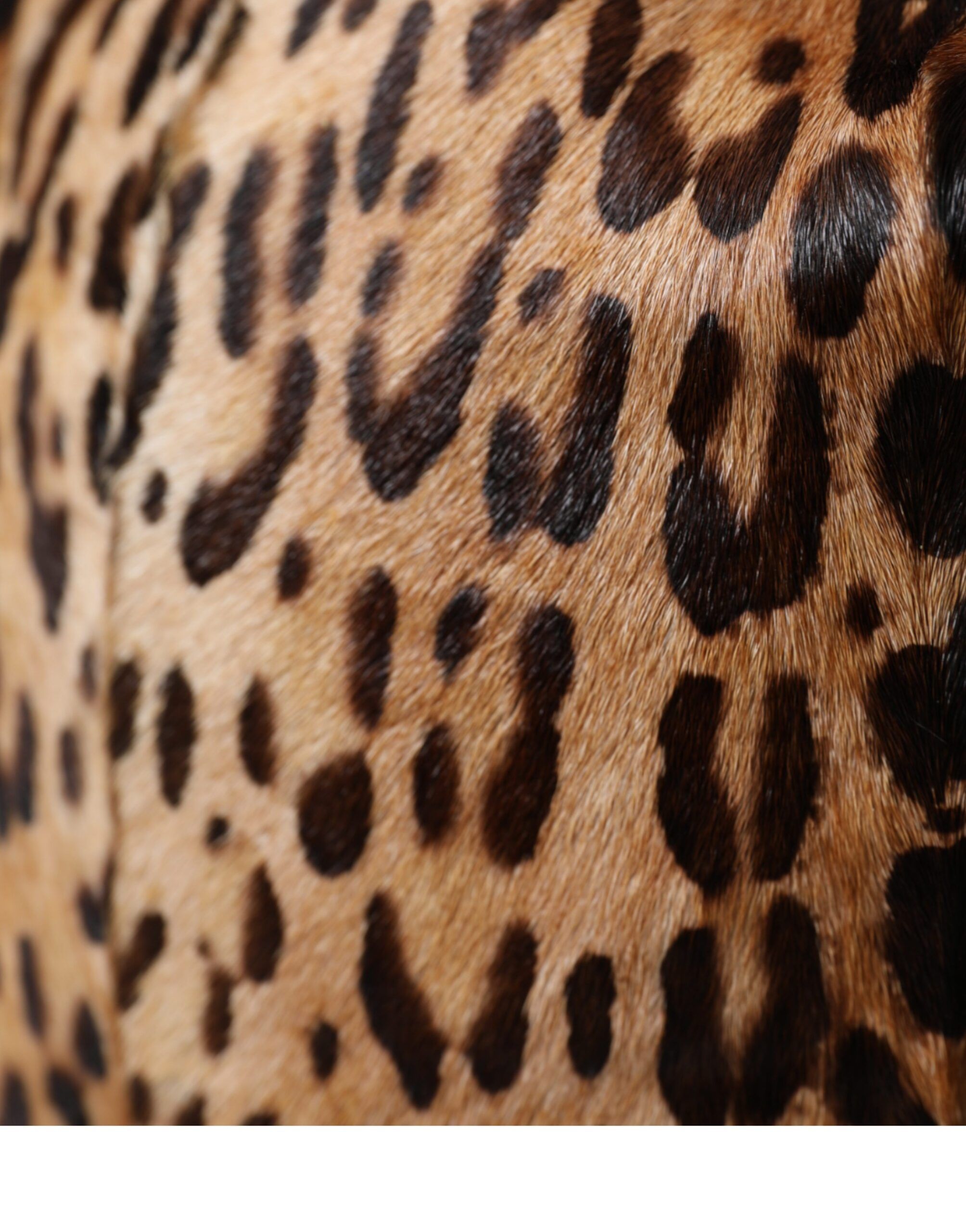 Leopard Fur Women Bucket Women's Hat - Dolce & Gabbana - Modalova