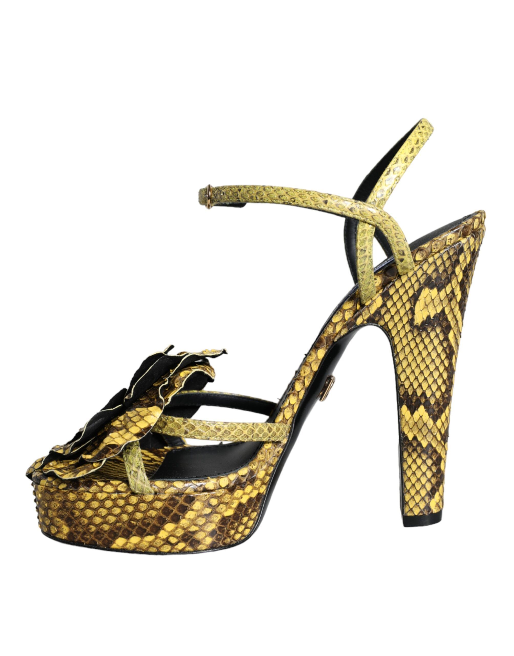 Exotic Leather Ankle Strap Heels Sandals Women's Shoes - Dolce & Gabbana - Modalova