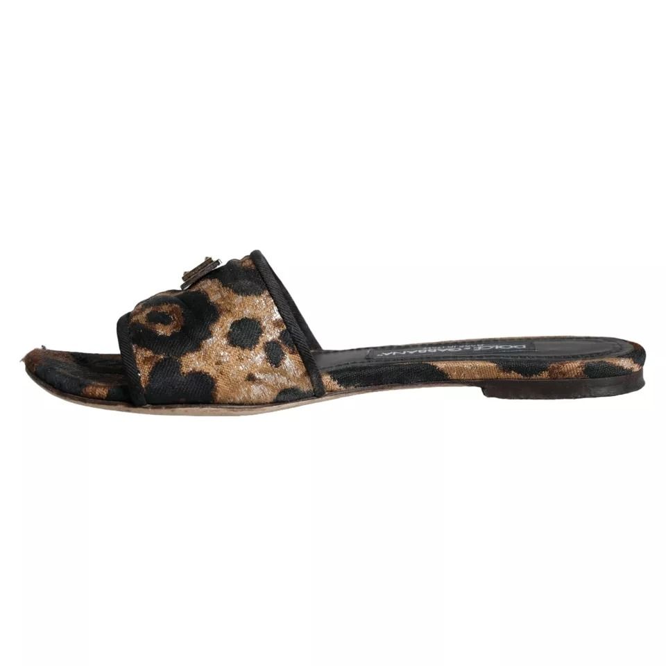 Leopard Logo Slides Flats Sandals Women's Shoes (Pre-Owned) - Dolce & Gabbana - Modalova