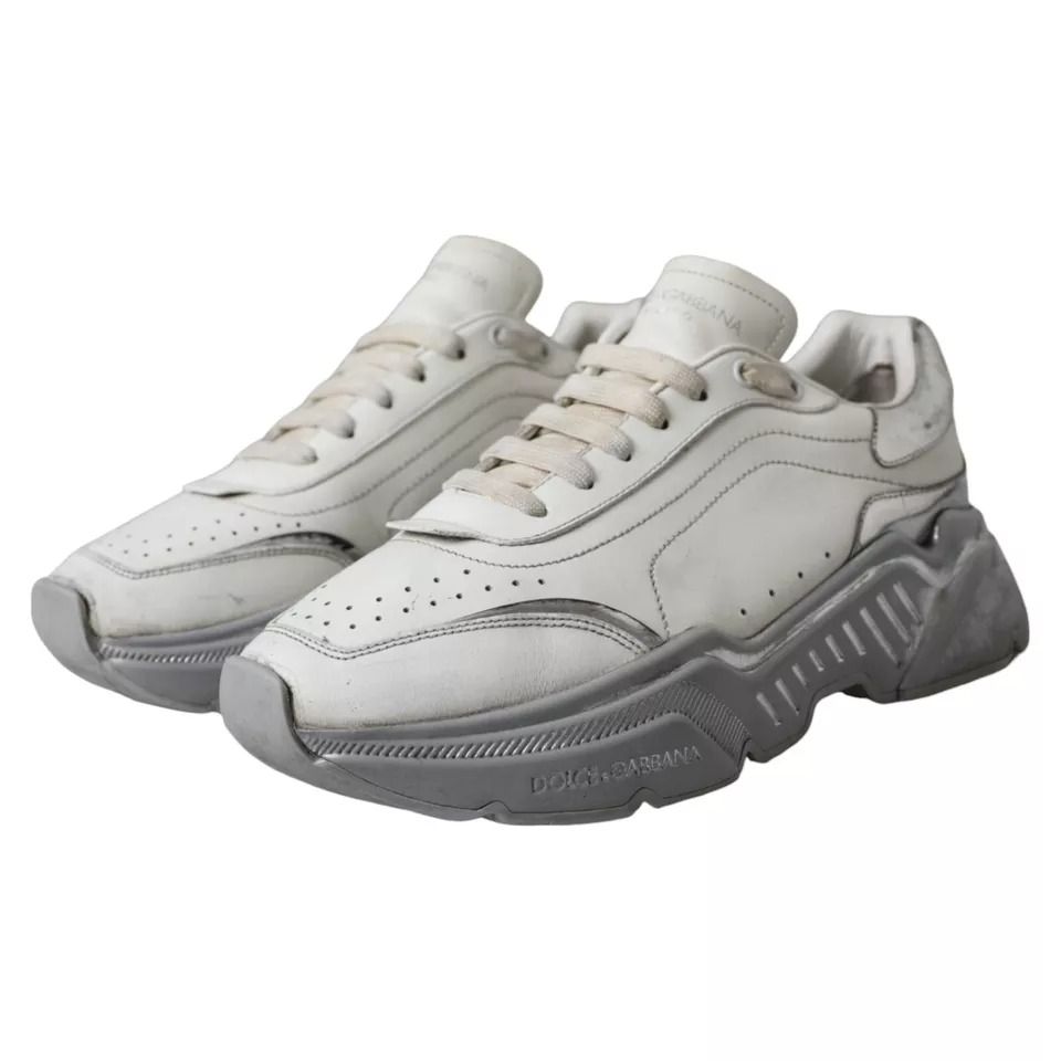 Silver Daymaster Low Top Sneakers Men's Shoes (Pre-Owned) - Dolce & Gabbana - Modalova