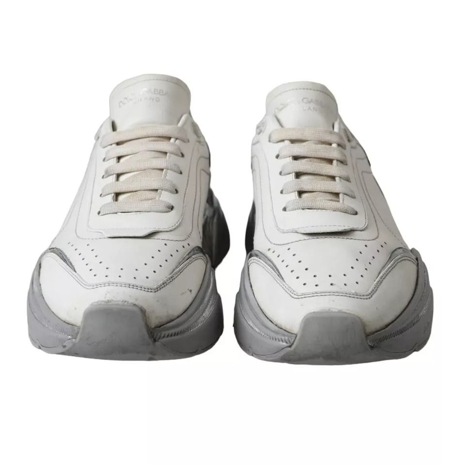 Silver Daymaster Low Top Sneakers Men's Shoes (Pre-Owned) - Dolce & Gabbana - Modalova