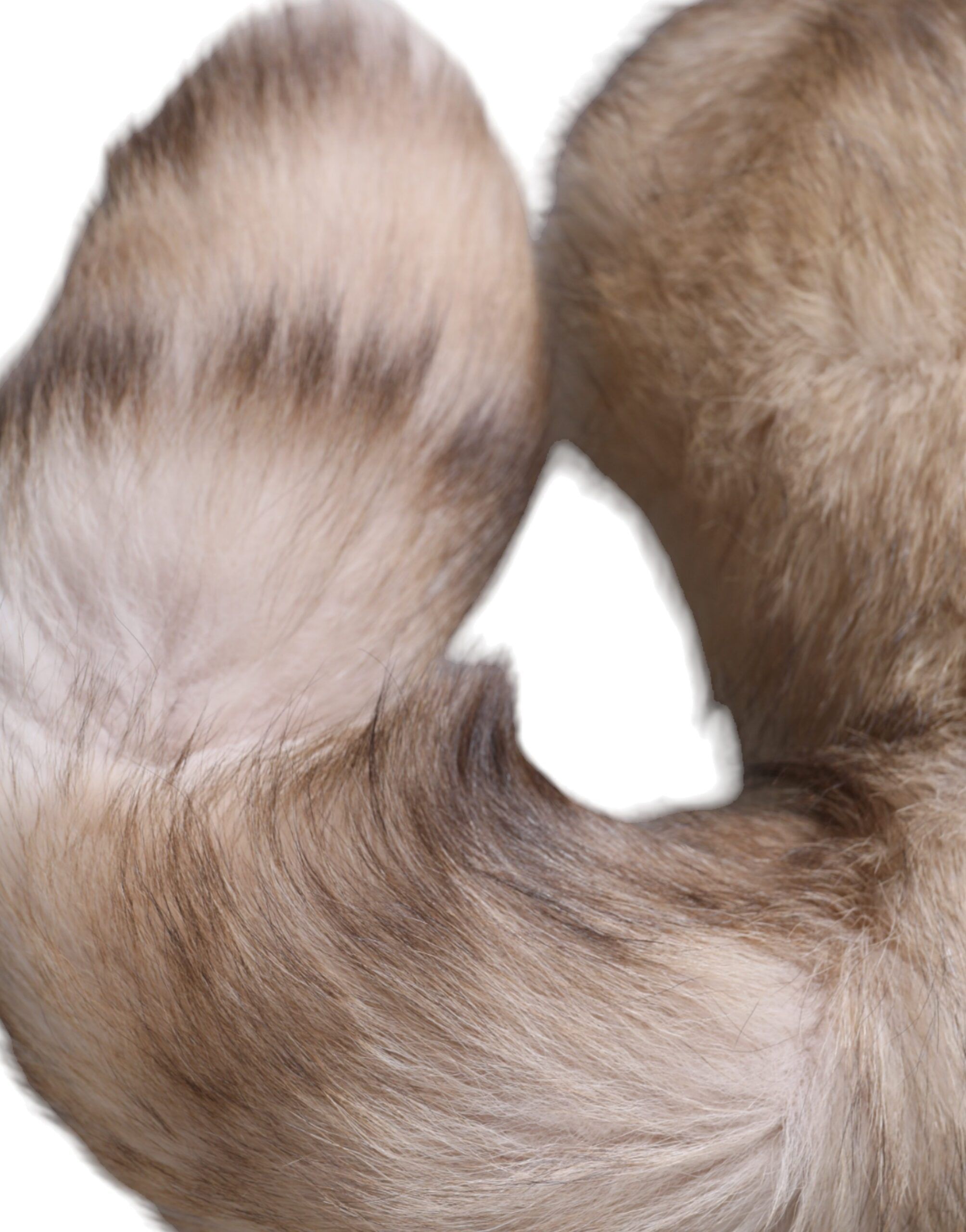 Frost Fox Fur Neck Warmer Winter Women's Scarf - Dolce & Gabbana - Modalova