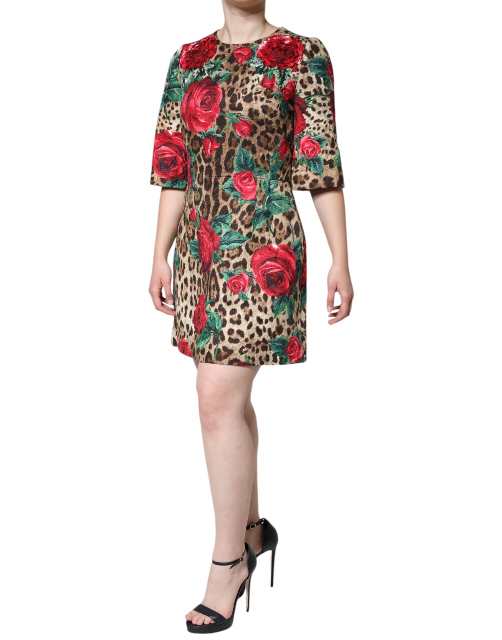 Leopard Red Roses Cotton A-line Women's Dress - Dolce & Gabbana - Modalova