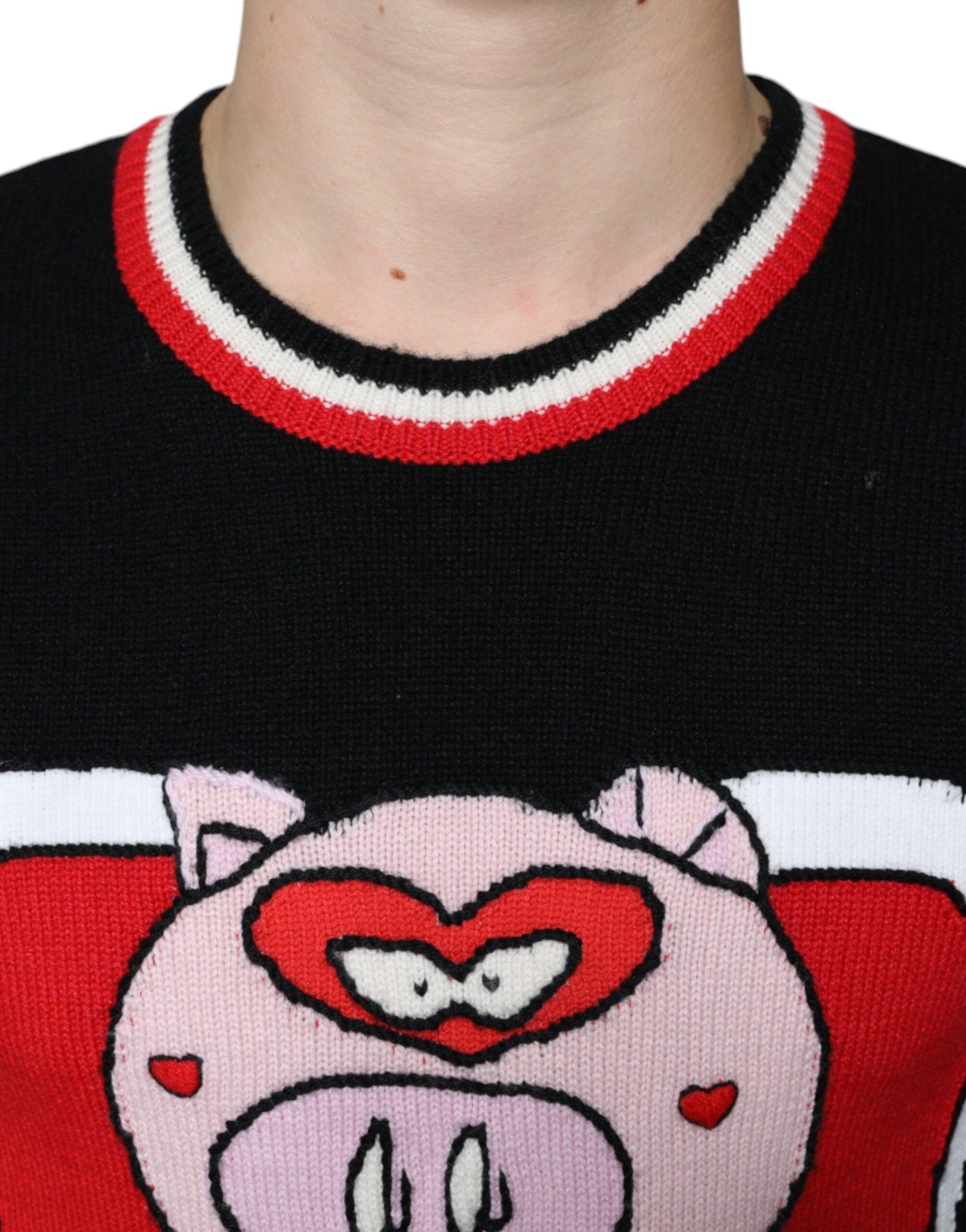 Cashmere Pig of the Year Pullover Men's Sweater - Dolce & Gabbana - Modalova
