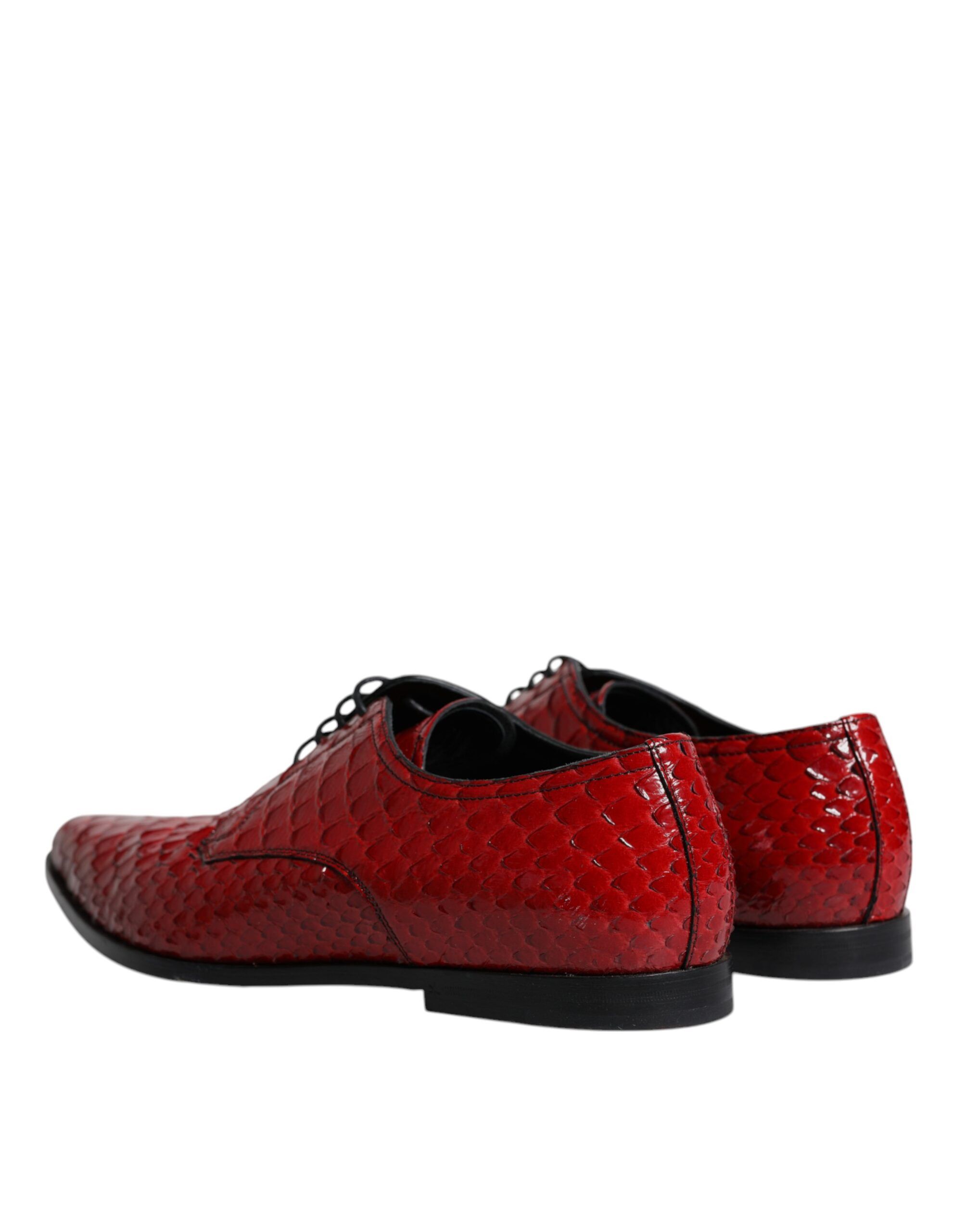 Textured Varnished Derby Men Formal Men's Shoes (Pre-Owned) - Dolce & Gabbana - Modalova