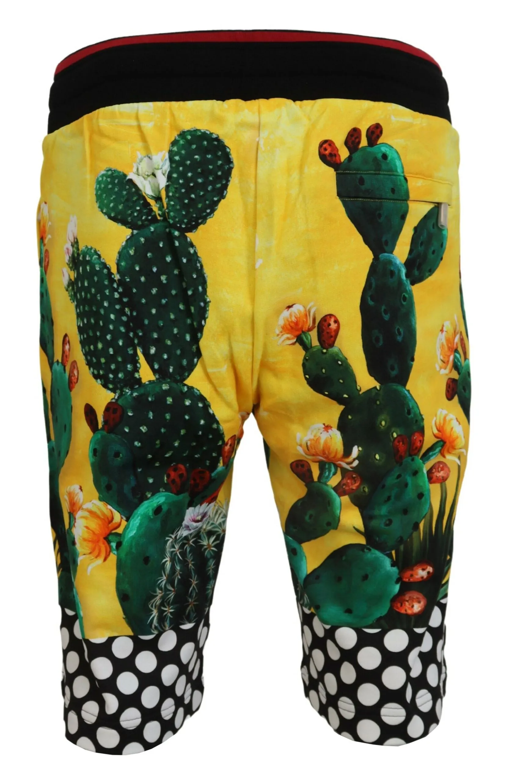 Cactus Print Cotton Sweat Men's Shorts - Dolce & Gabbana - Modalova