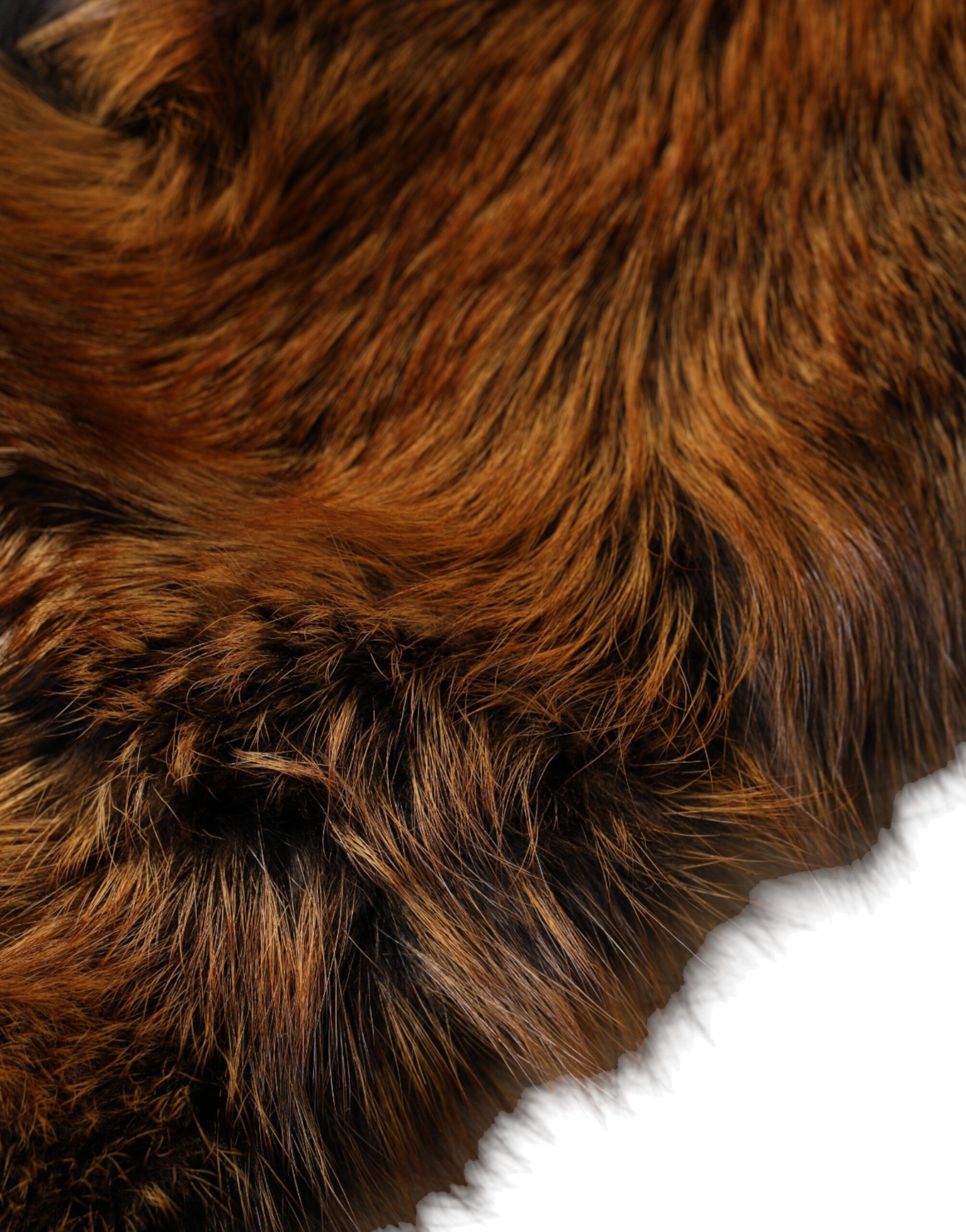 Red Fox Fur Neck Warmer Winter Women's Scarf - Dolce & Gabbana - Modalova