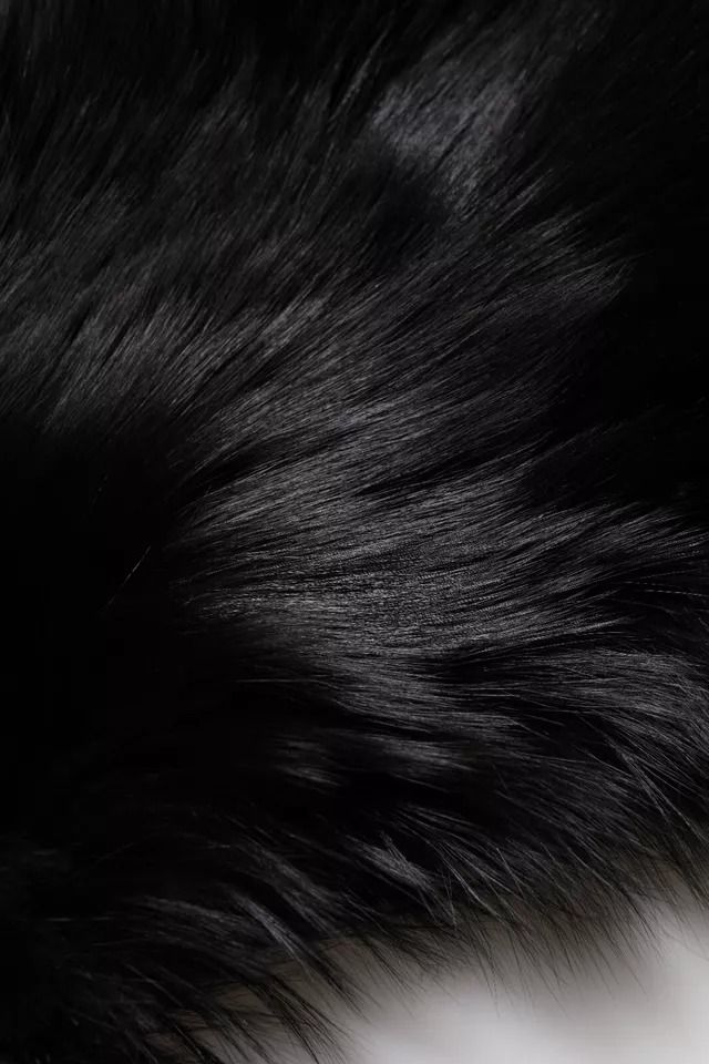 Fox Fur Neck Wrap Warmer Winter Women's Scarf - Dolce & Gabbana - Modalova