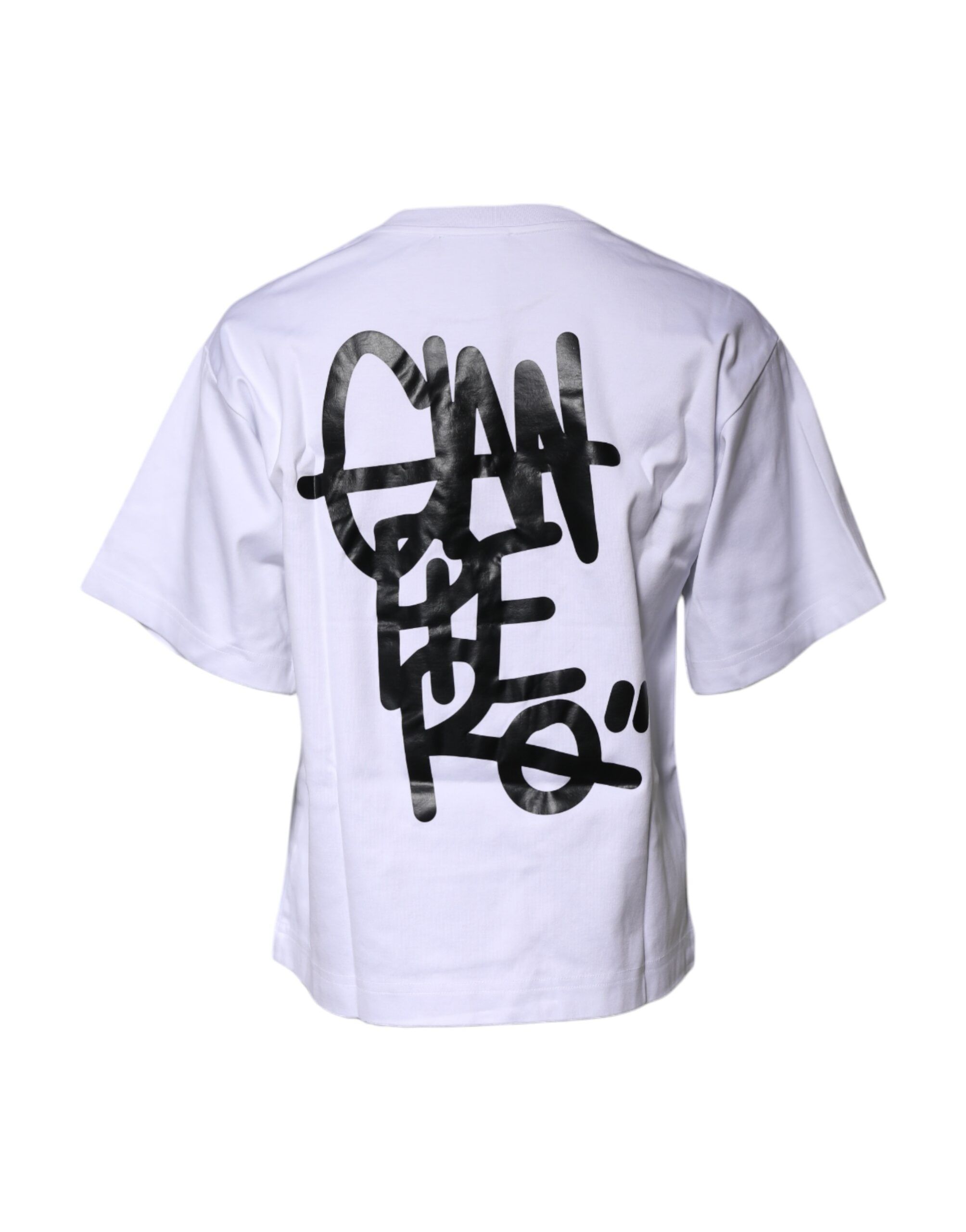 Printed Cotton Crew Neck Tee Women's T-shirt (Pre-Owned) - Dolce & Gabbana - Modalova