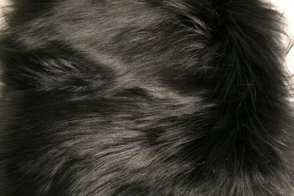 Fur Shoulder Collar Wrap Shawl Women's Scarf - Dolce & Gabbana - Modalova