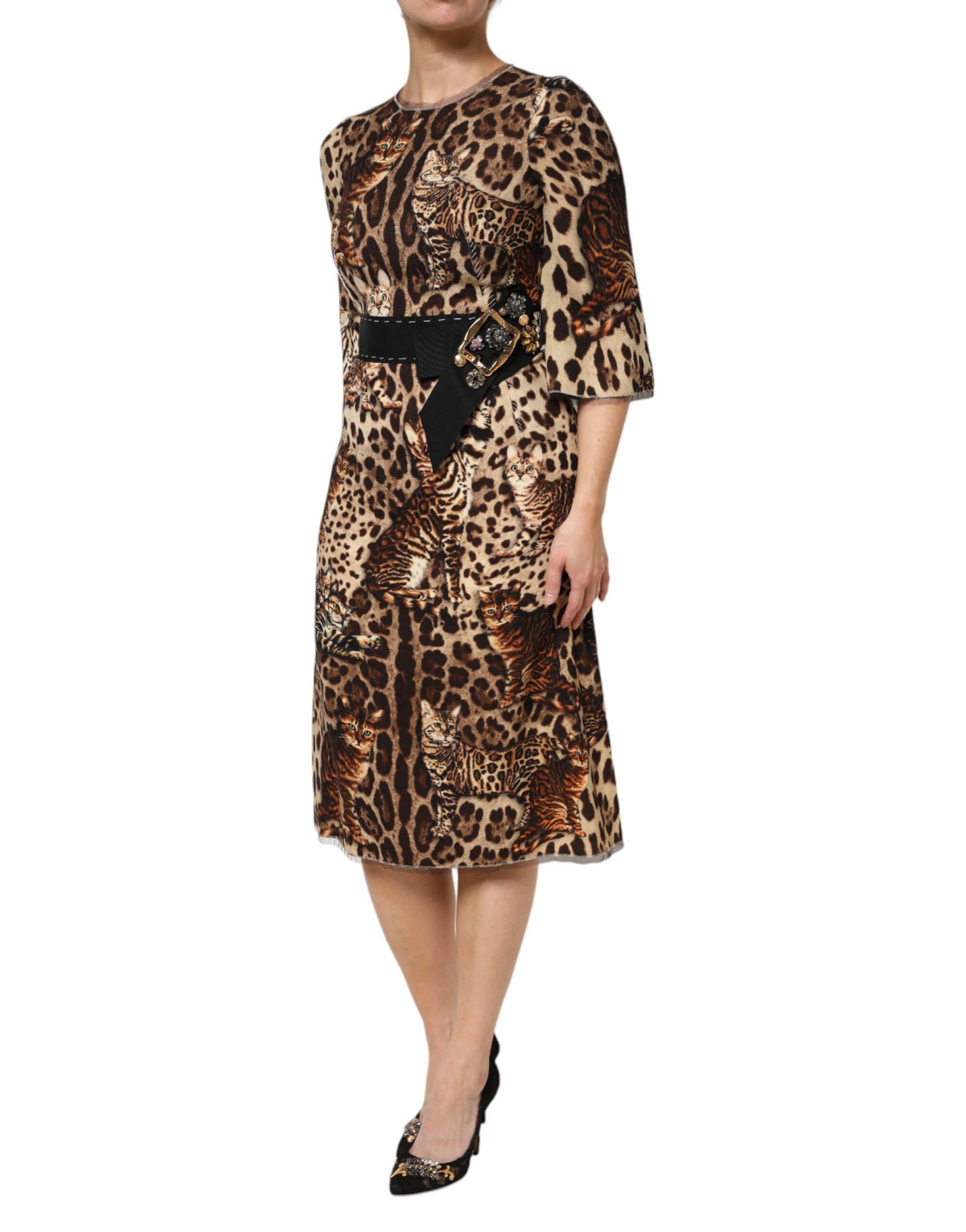 Leopard Print Belted A-line Midi Women's Dress (Pre-Owned) - Dolce & Gabbana - Modalova