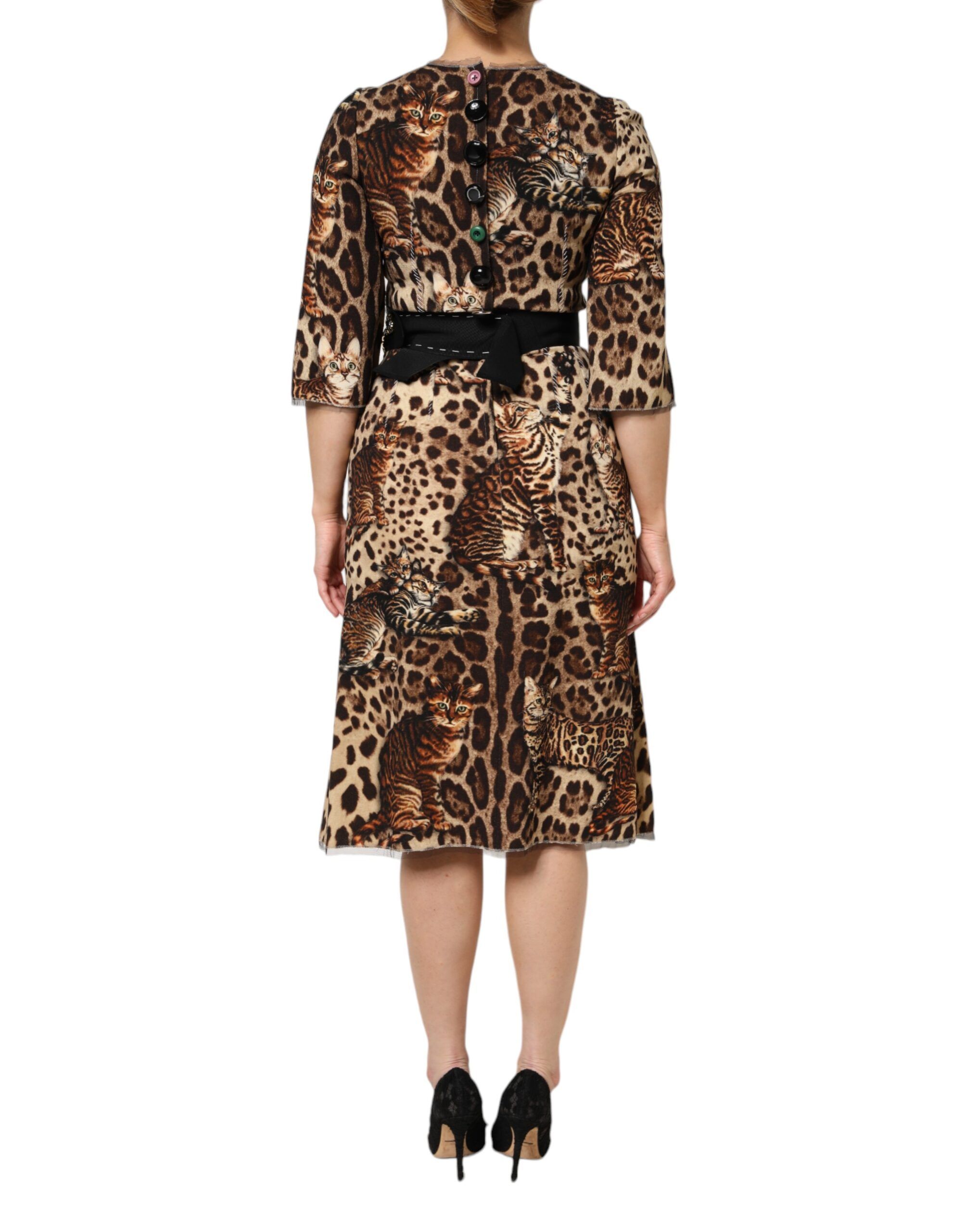 Leopard Print Belted A-line Midi Women's Dress (Pre-Owned) - Dolce & Gabbana - Modalova