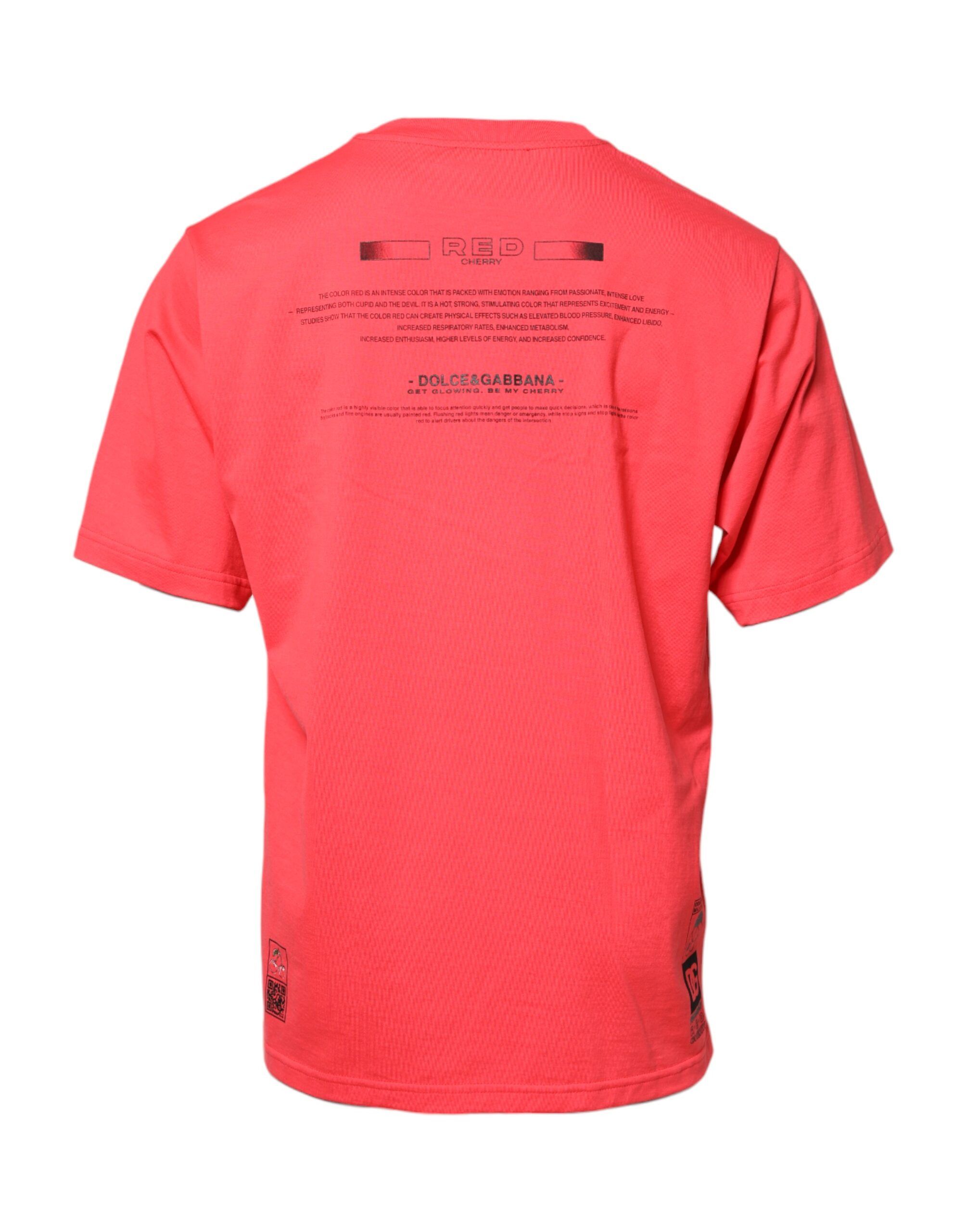 Cotton Lettering Print Crew Neck Men's T-shirt (Pre-Owned) - Dolce & Gabbana - Modalova