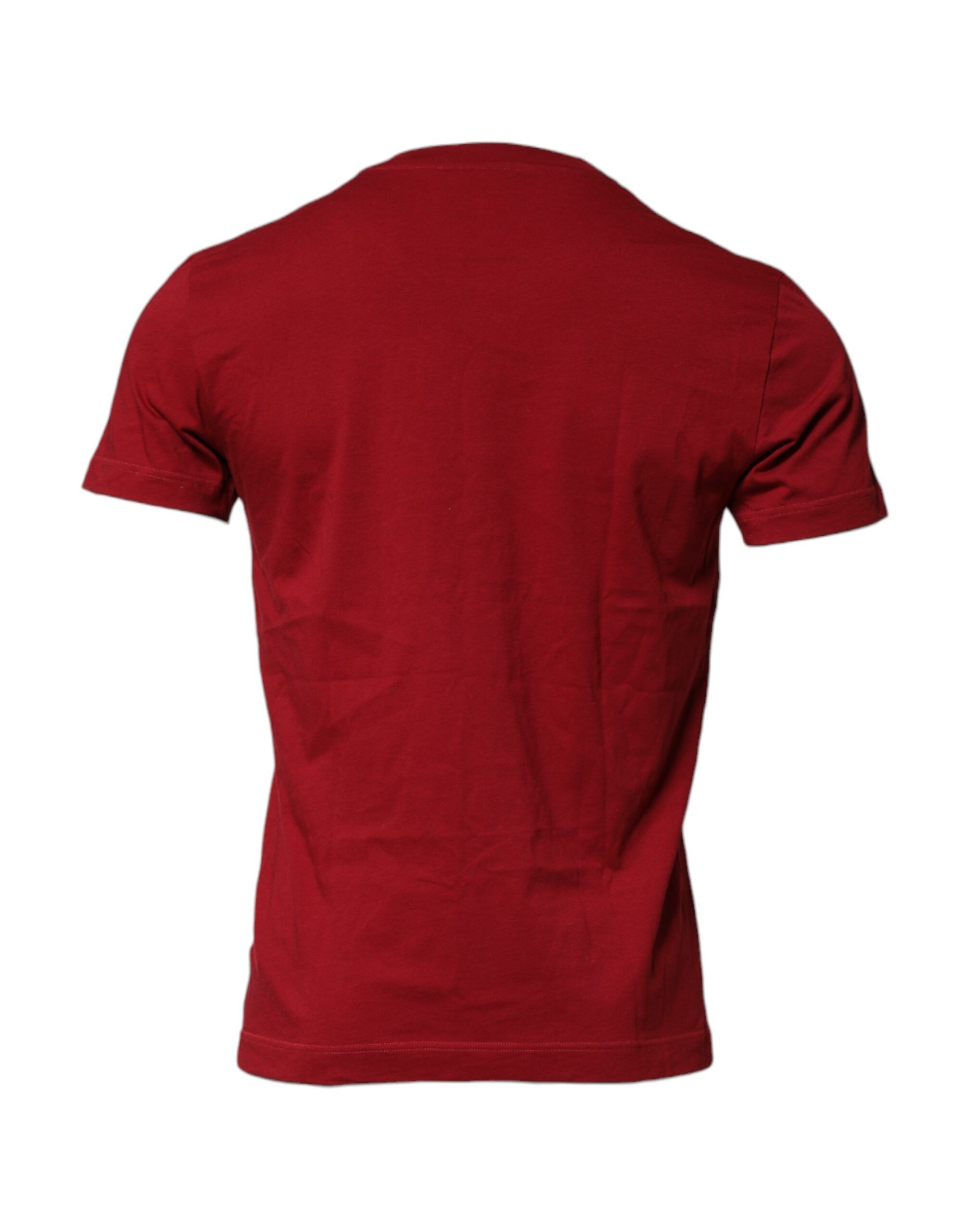 Cotton Short Sleeves Crew Neck Men's T-shirt (Pre-Owned) - Dolce & Gabbana - Modalova