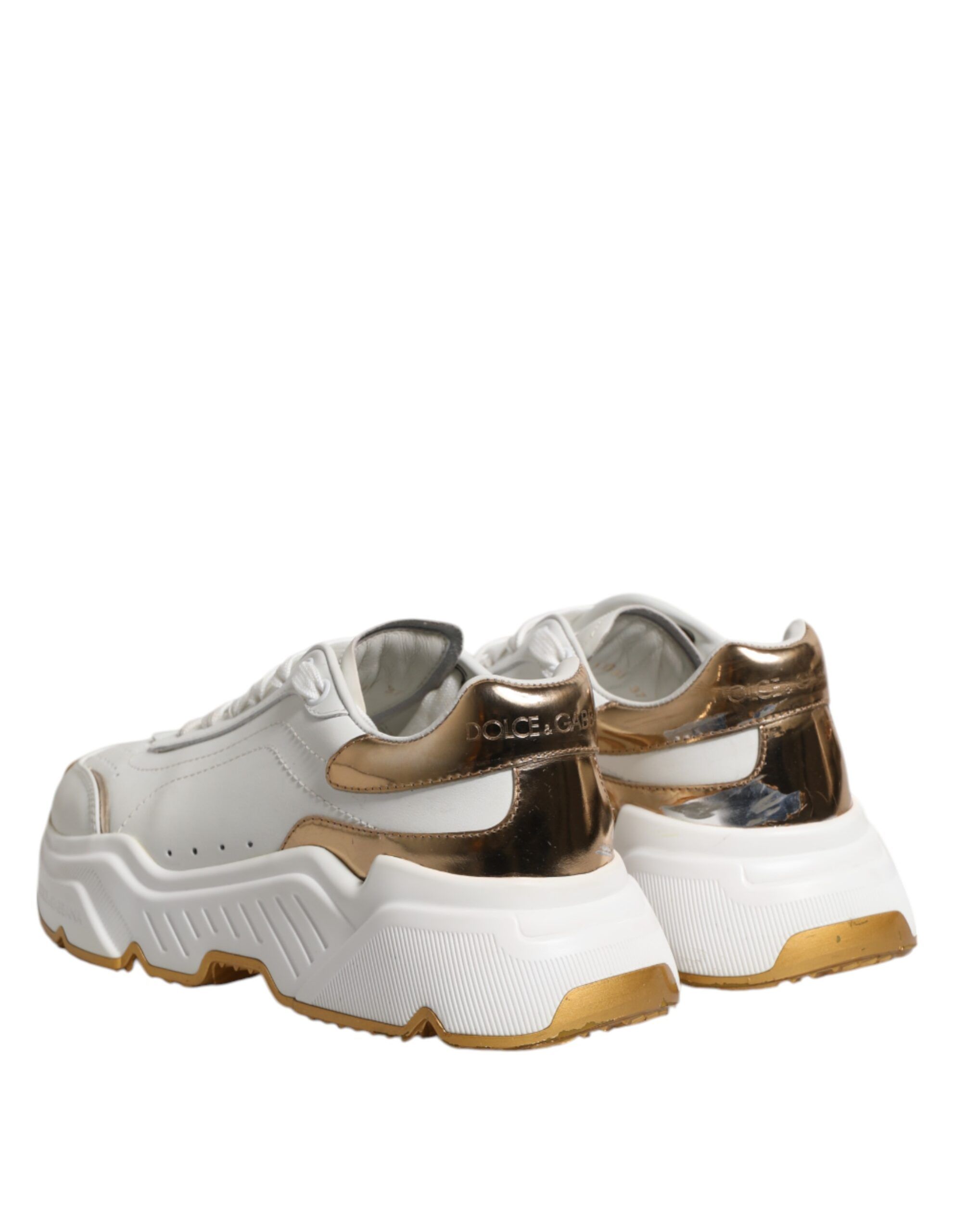 Gold Daymaster Low Top Sneakers Women's Shoes (Pre-Owned) - Dolce & Gabbana - Modalova
