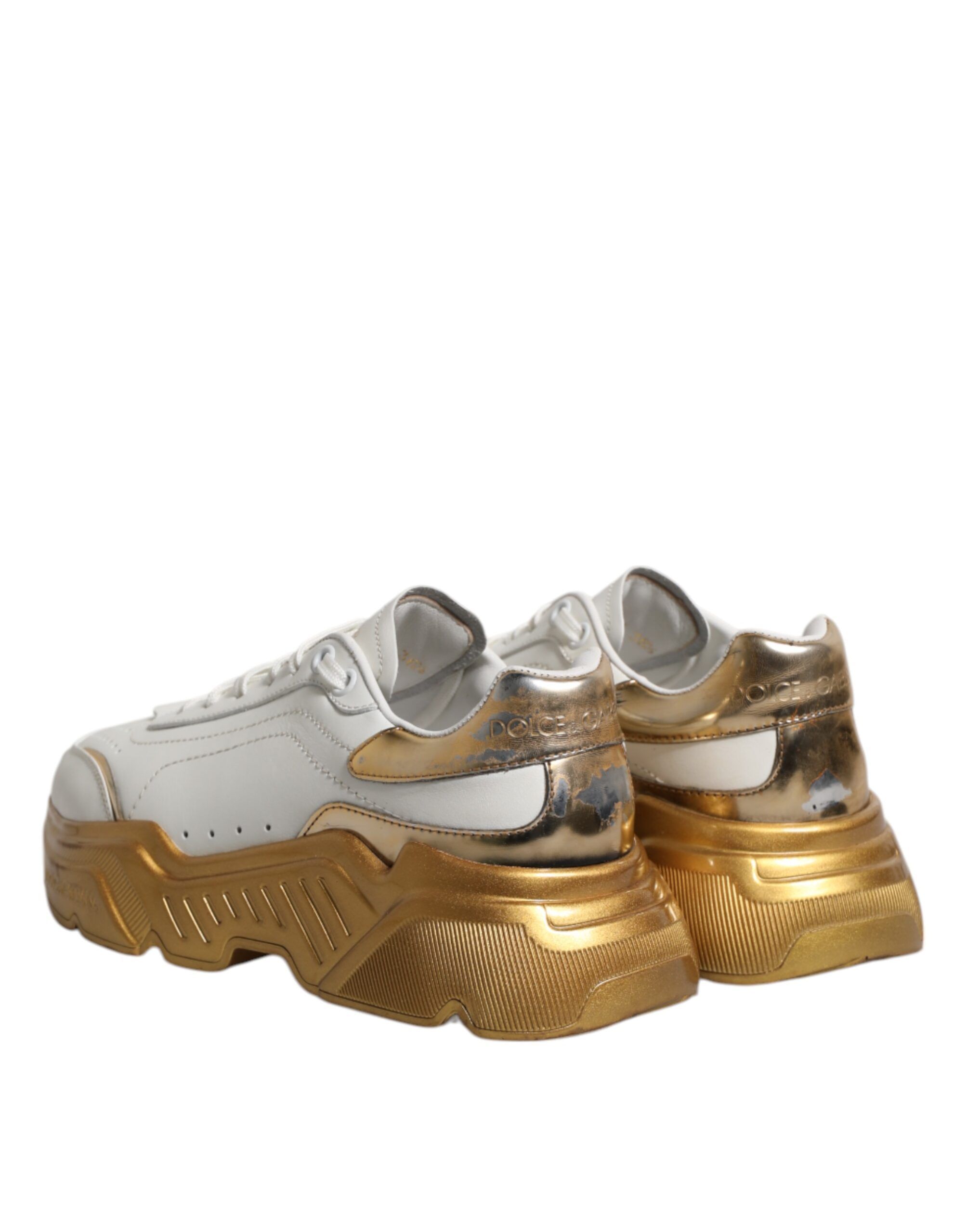Gold Daymaster Low Top Sneakers Women's Shoes (Pre-Owned) - Dolce & Gabbana - Modalova