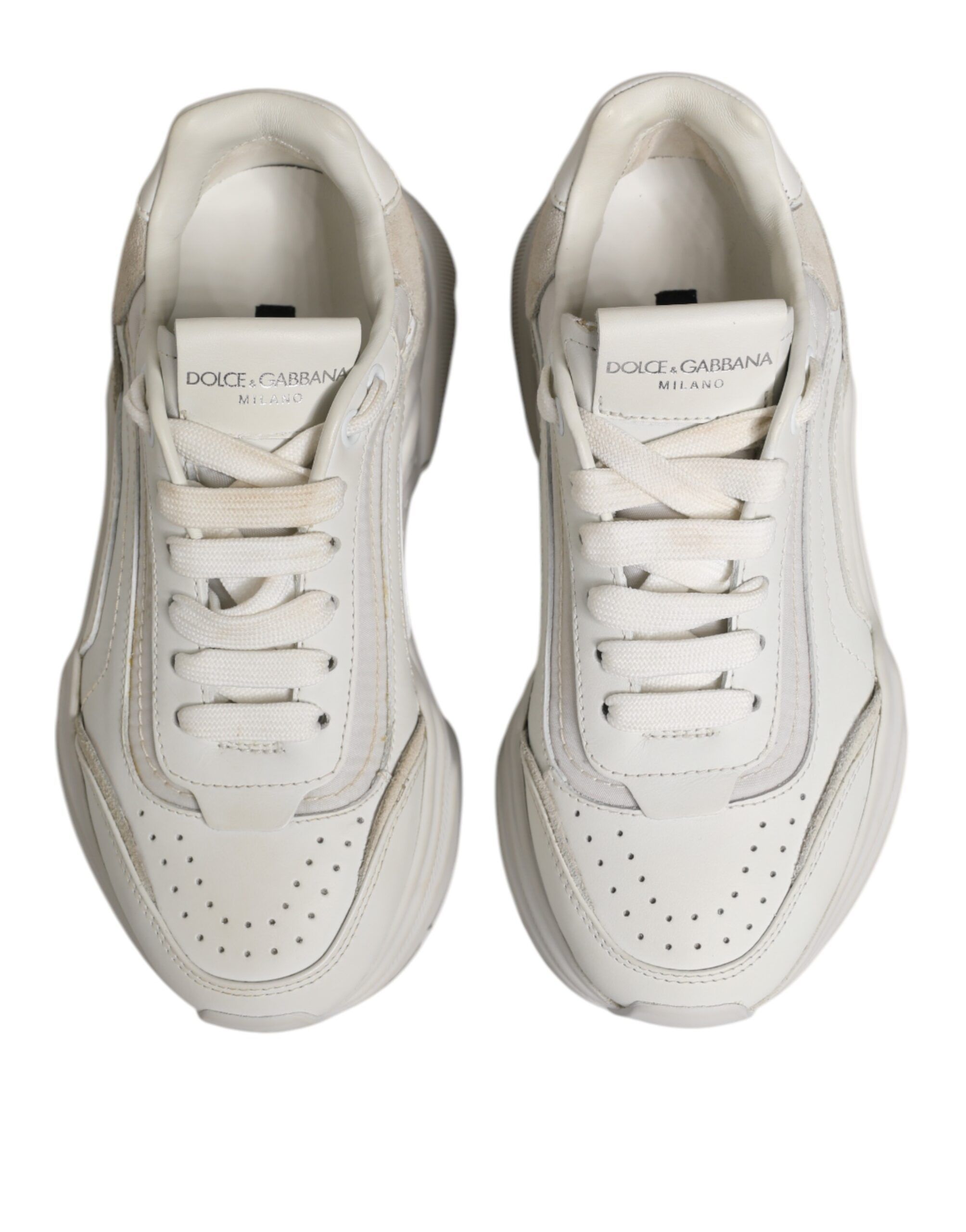 Daymaster Low Top Sneaker Women's Shoes (Pre-Owned) - Dolce & Gabbana - Modalova