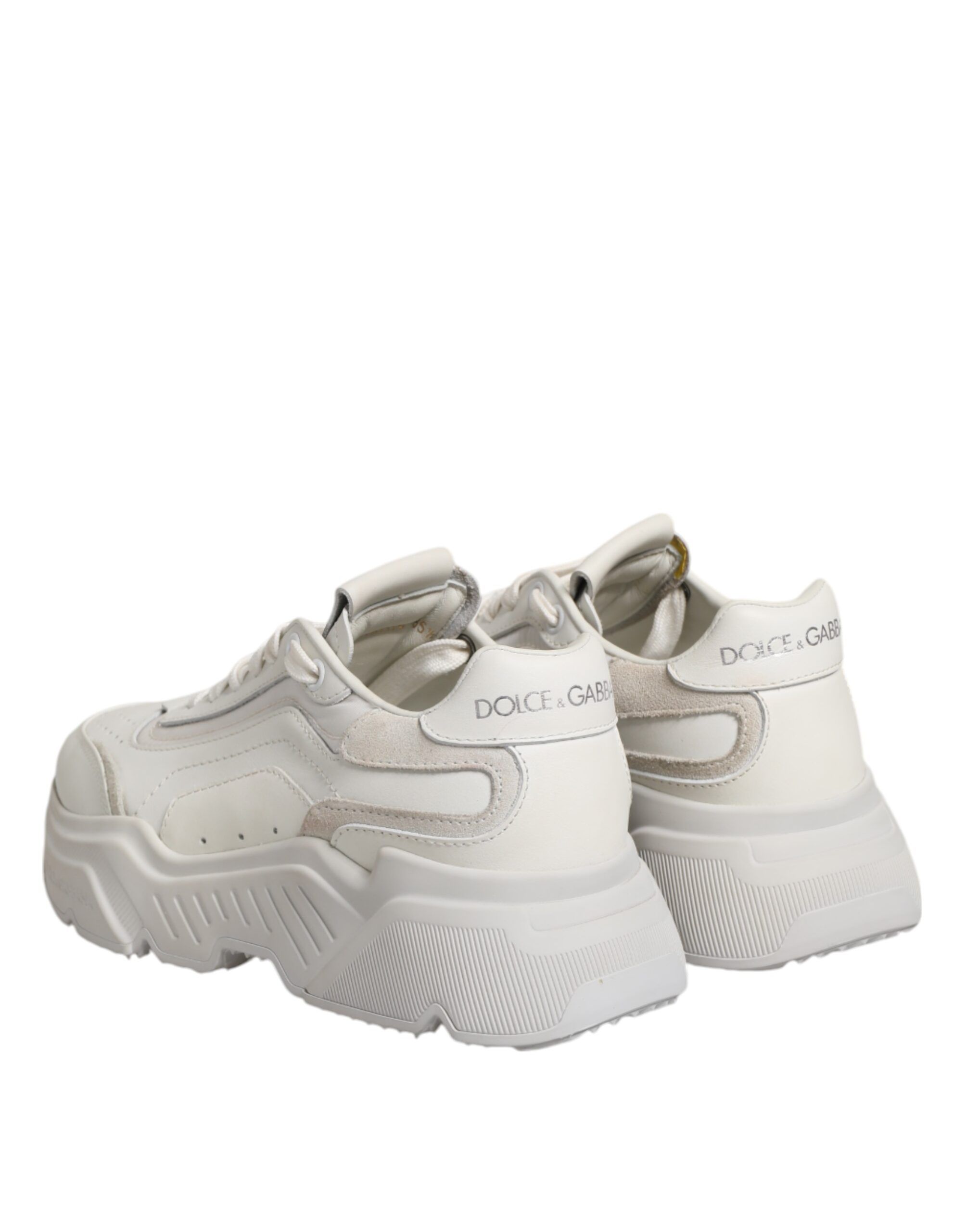 Daymaster Low Top Sneaker Women's Shoes (Pre-Owned) - Dolce & Gabbana - Modalova