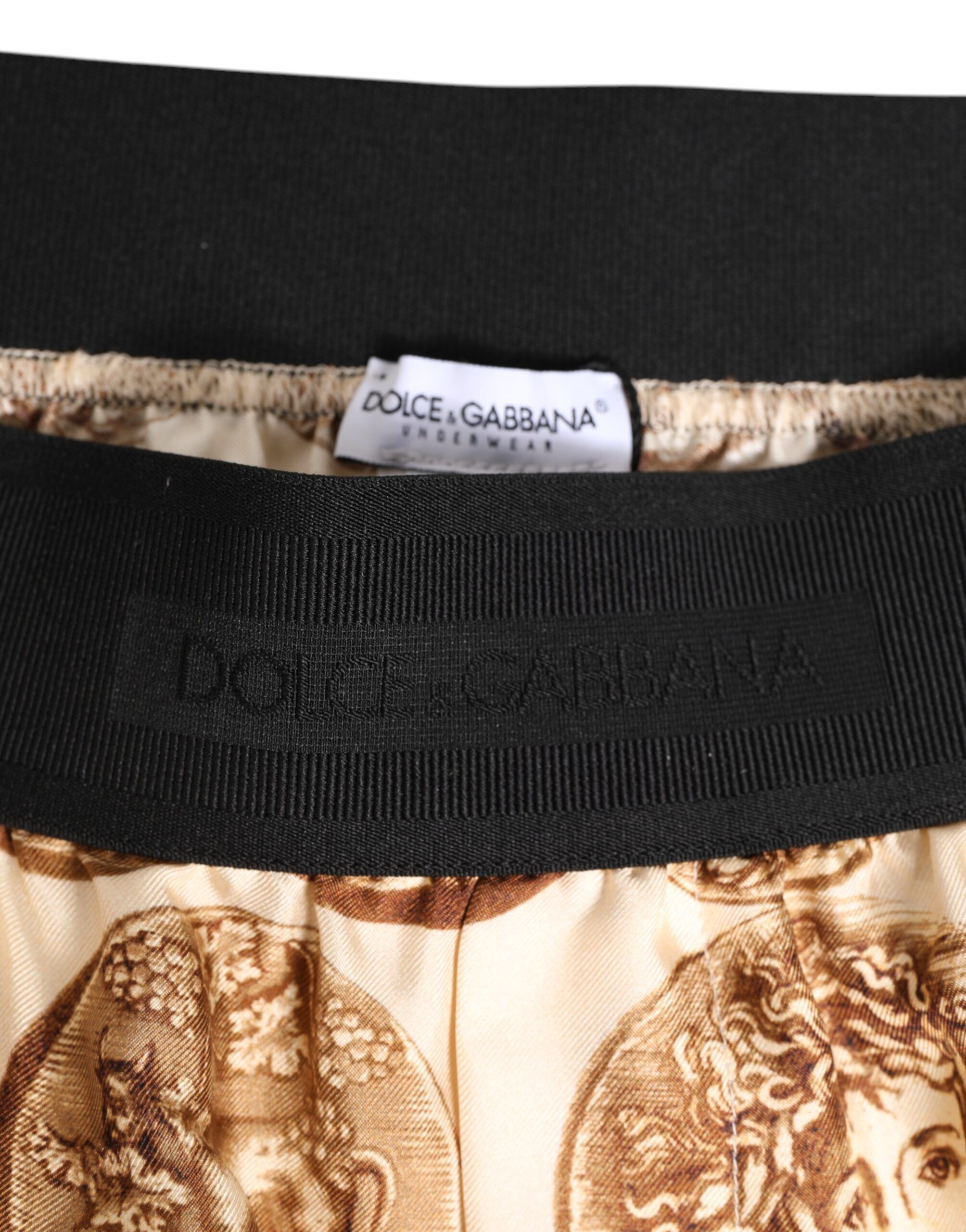 Brown Ancient Coin Print Silk Shorts Men's Swimwear - Dolce & Gabbana - Modalova