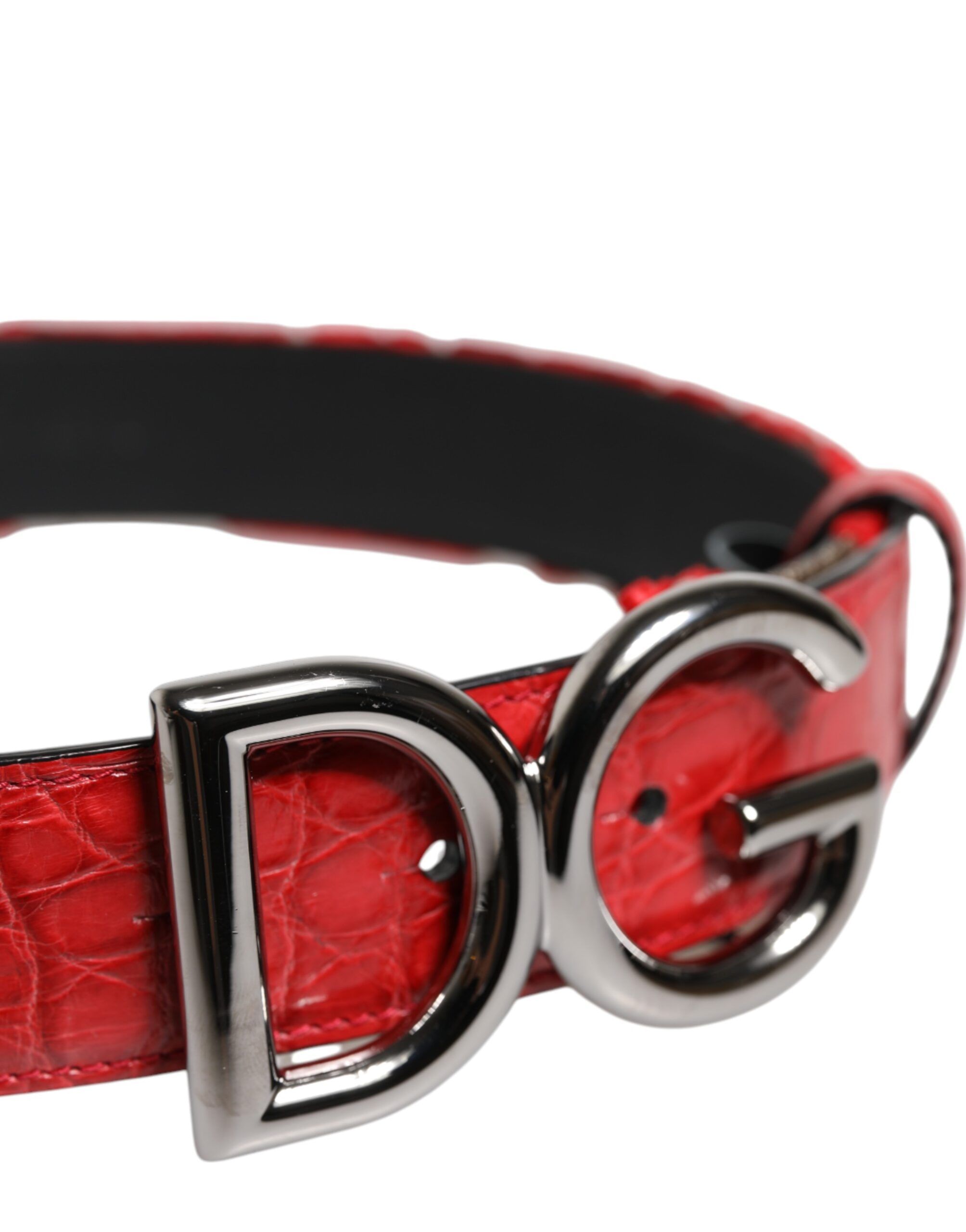 Viscose Silver DG Logo Metal Buckle Women's Belt - Dolce & Gabbana - Modalova