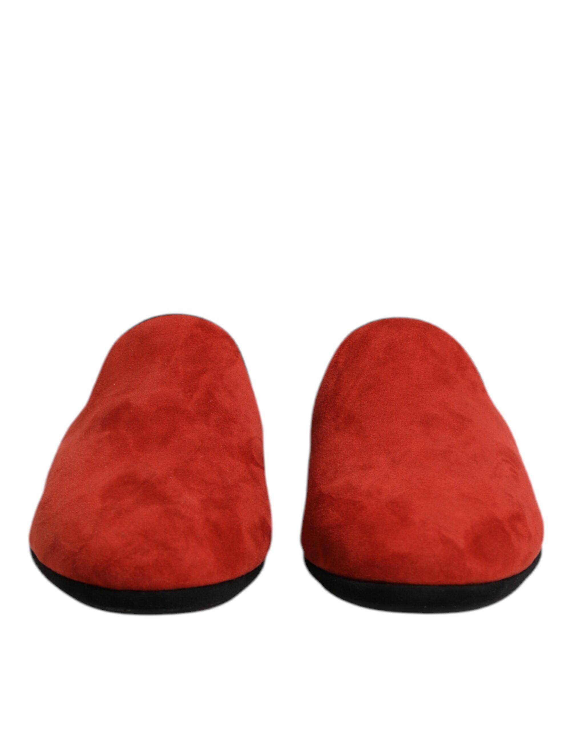 Suede Slides Flat Slipper Men's Shoes - Dolce & Gabbana - Modalova