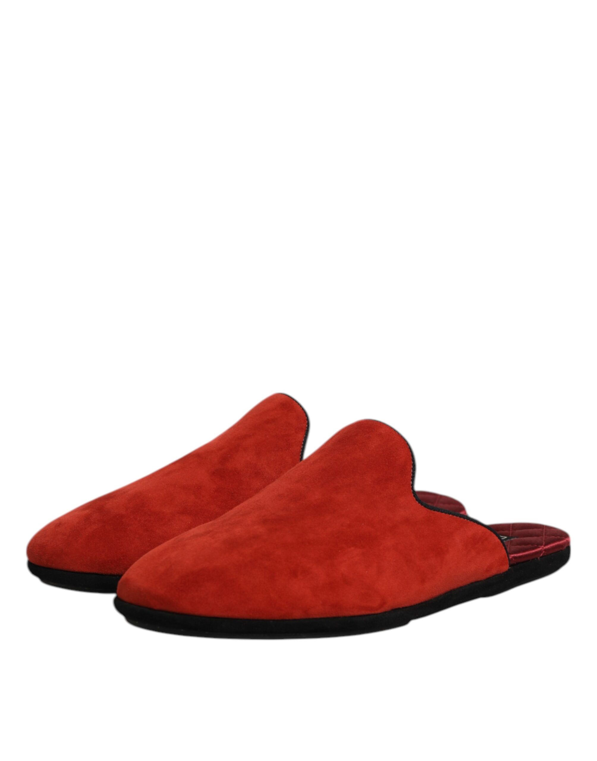 Suede Slides Flat Slipper Men's Shoes - Dolce & Gabbana - Modalova