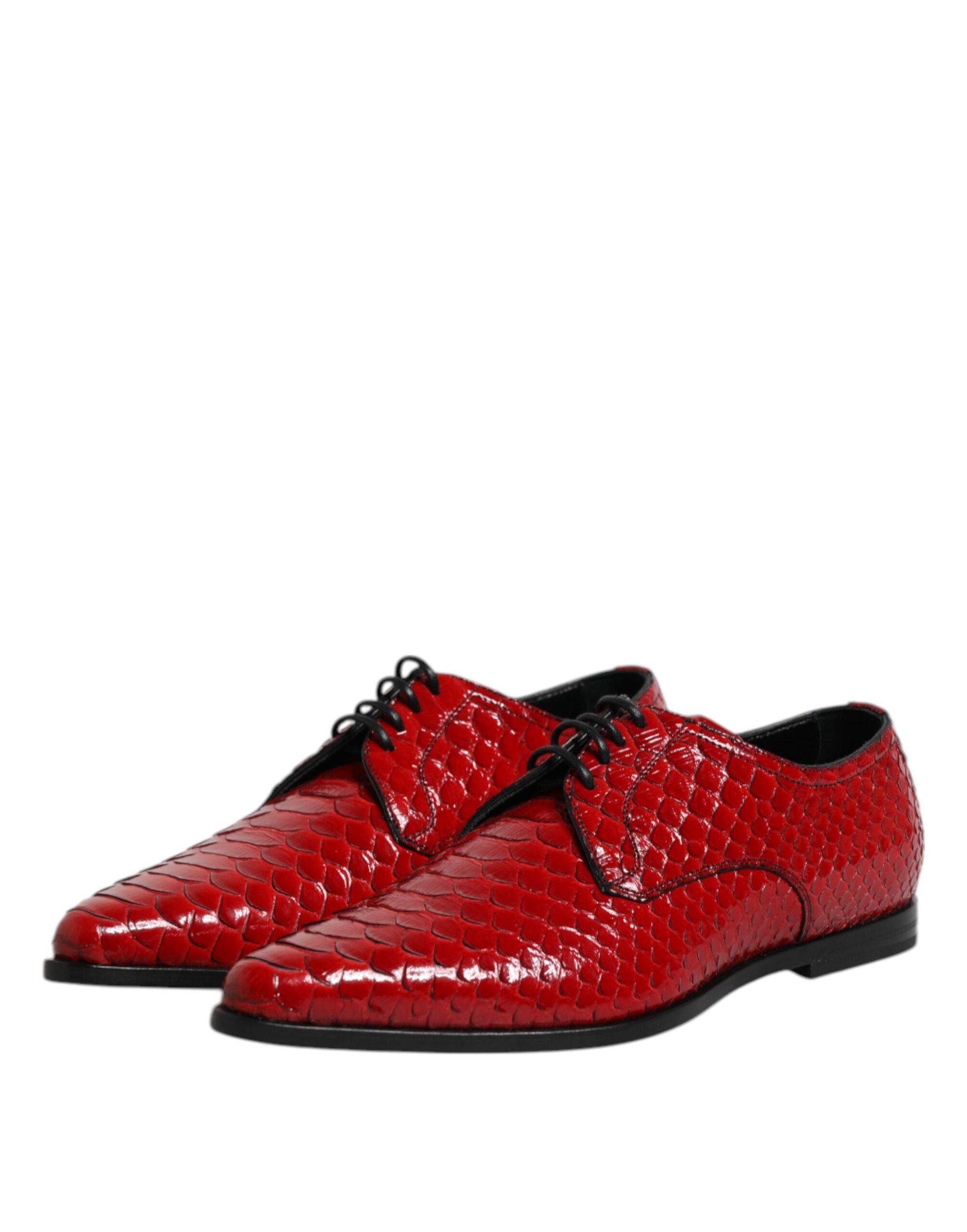 Exotic Leather Lace Up Dress Derby Men's Shoes - Dolce & Gabbana - Modalova